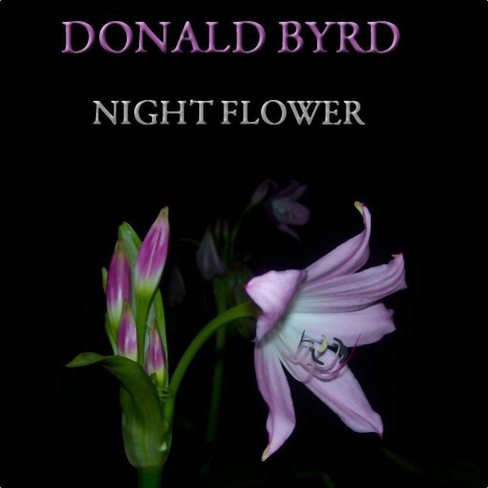 Donald Byrd - Pentecostal Feelin'