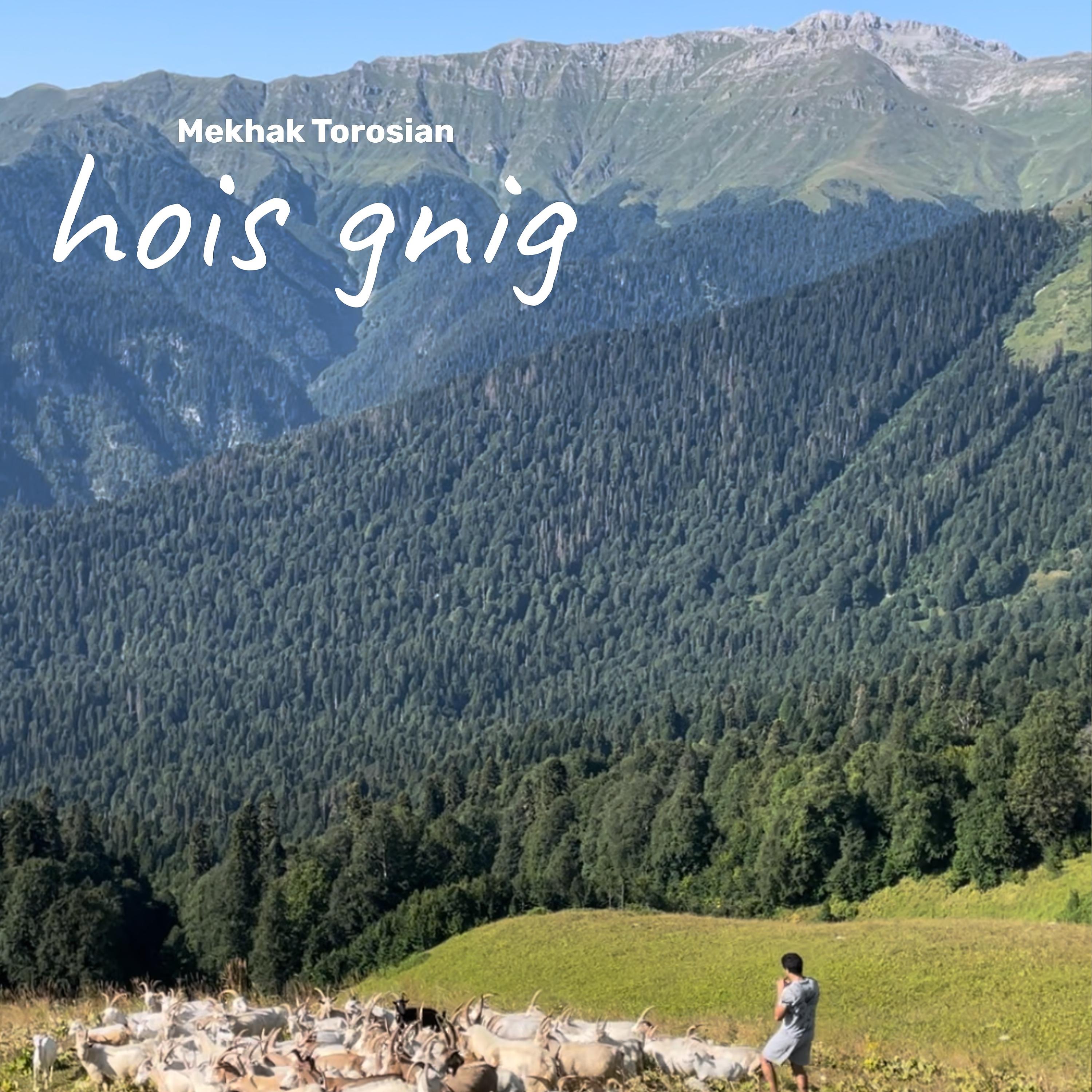 Постер альбома Hois Gnig