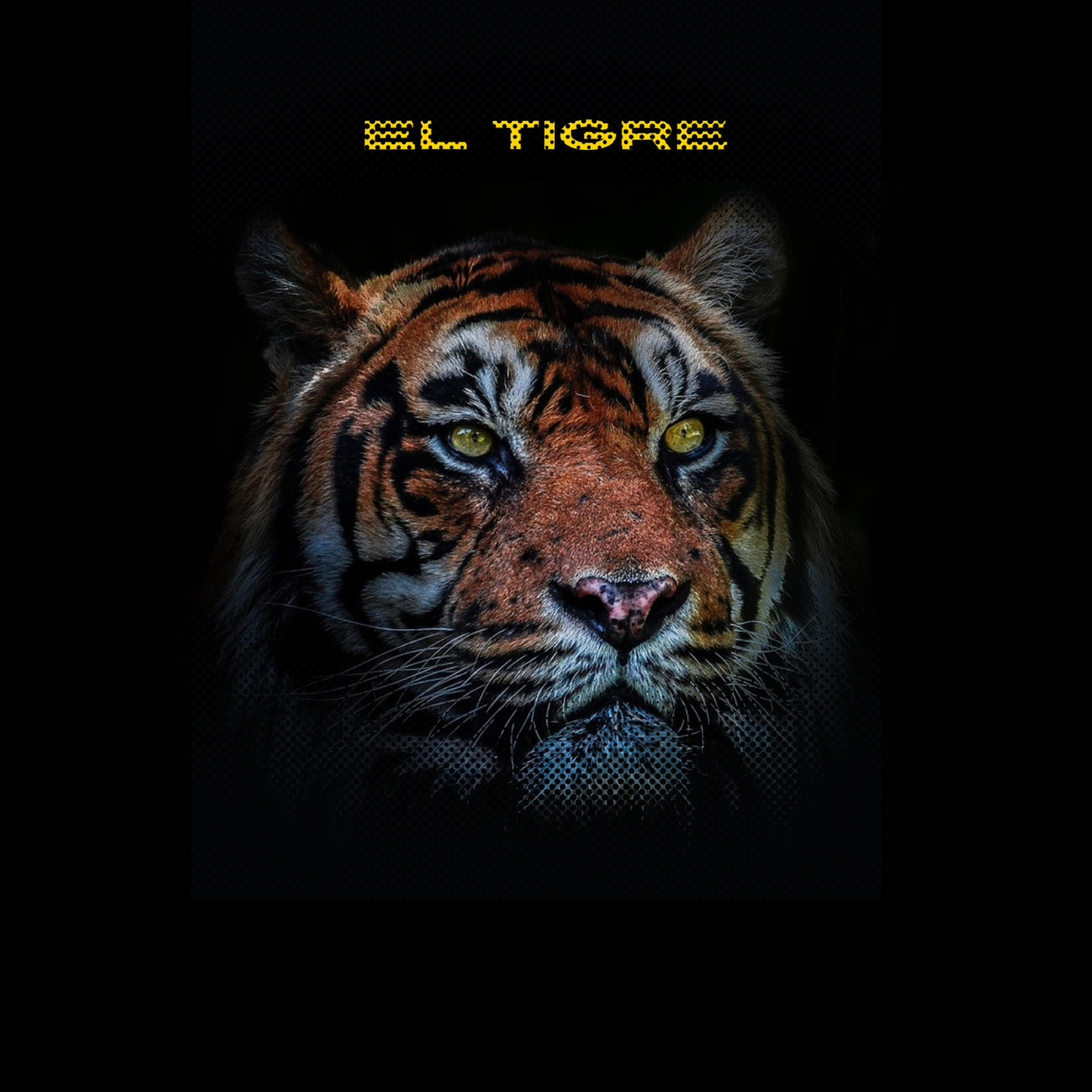 Постер альбома El Tigre