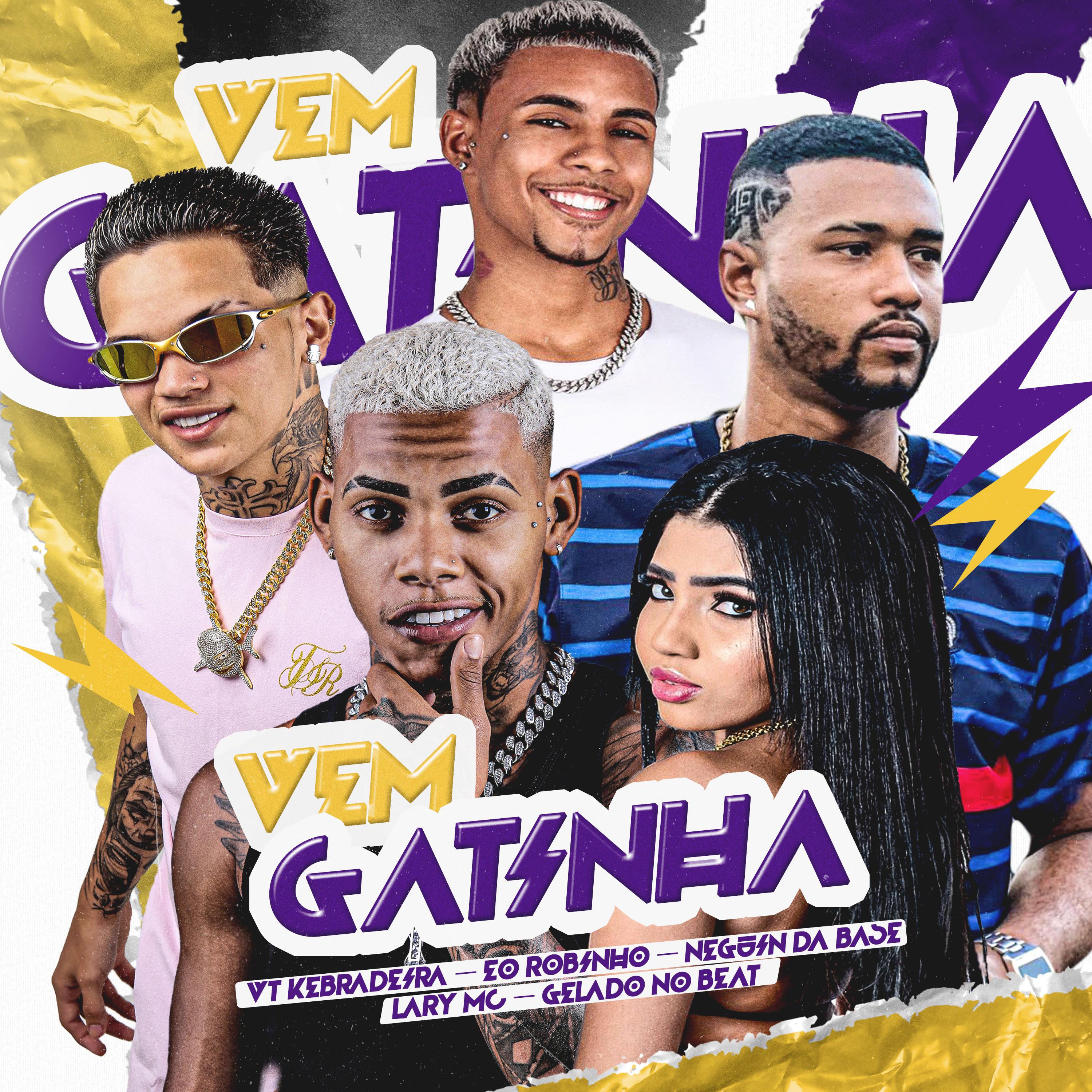 Постер альбома Vem Gatinha