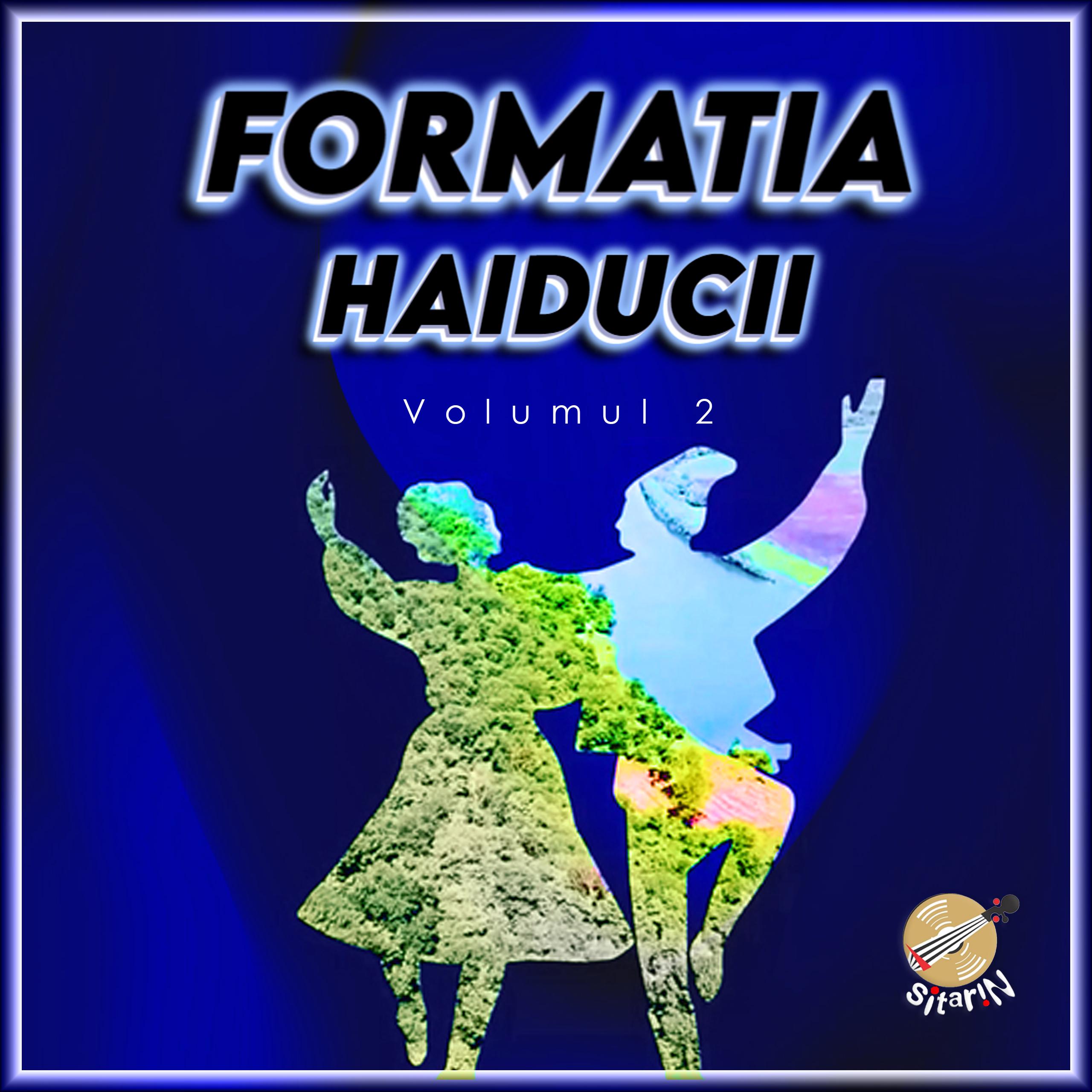 Постер альбома Formatia Haiducii, Vol. 2