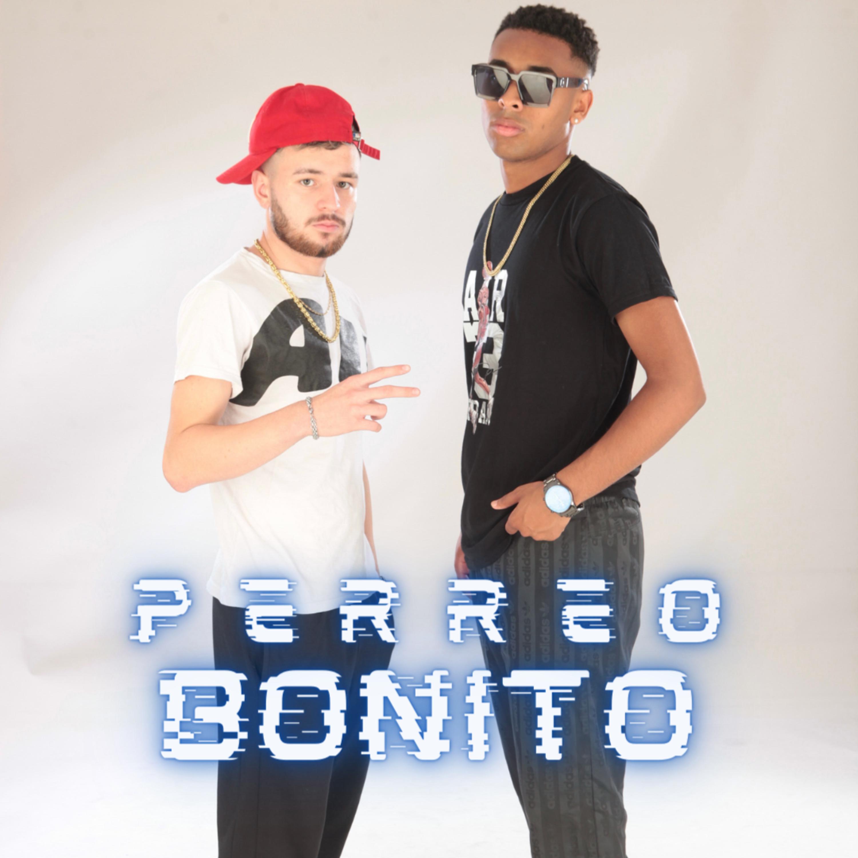 Постер альбома Perreo Bonito