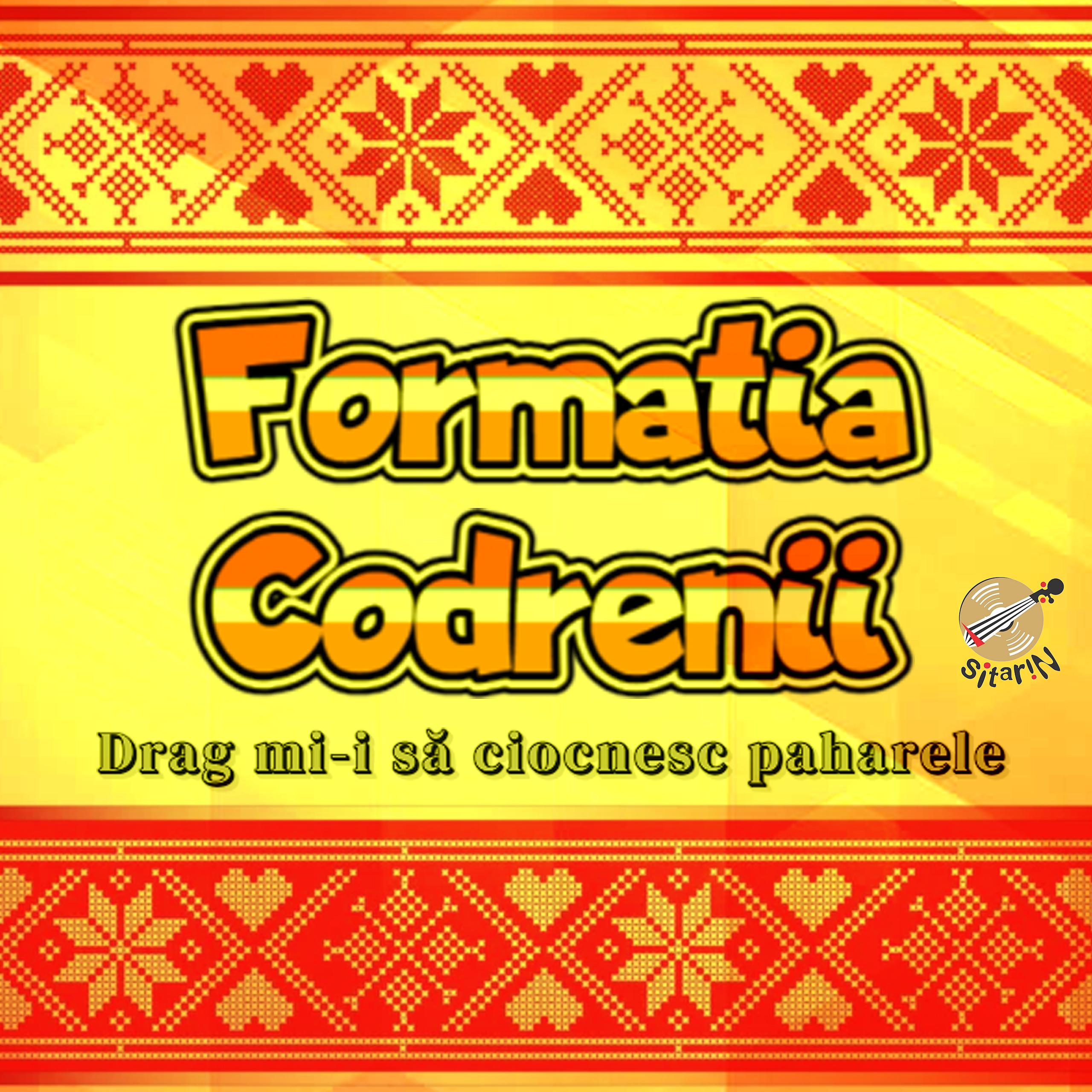 Постер альбома Formatia Codrenii