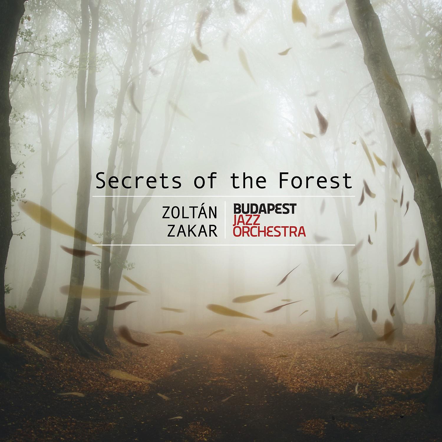 Постер альбома Zoltán Zakar: Secrets of the Forest