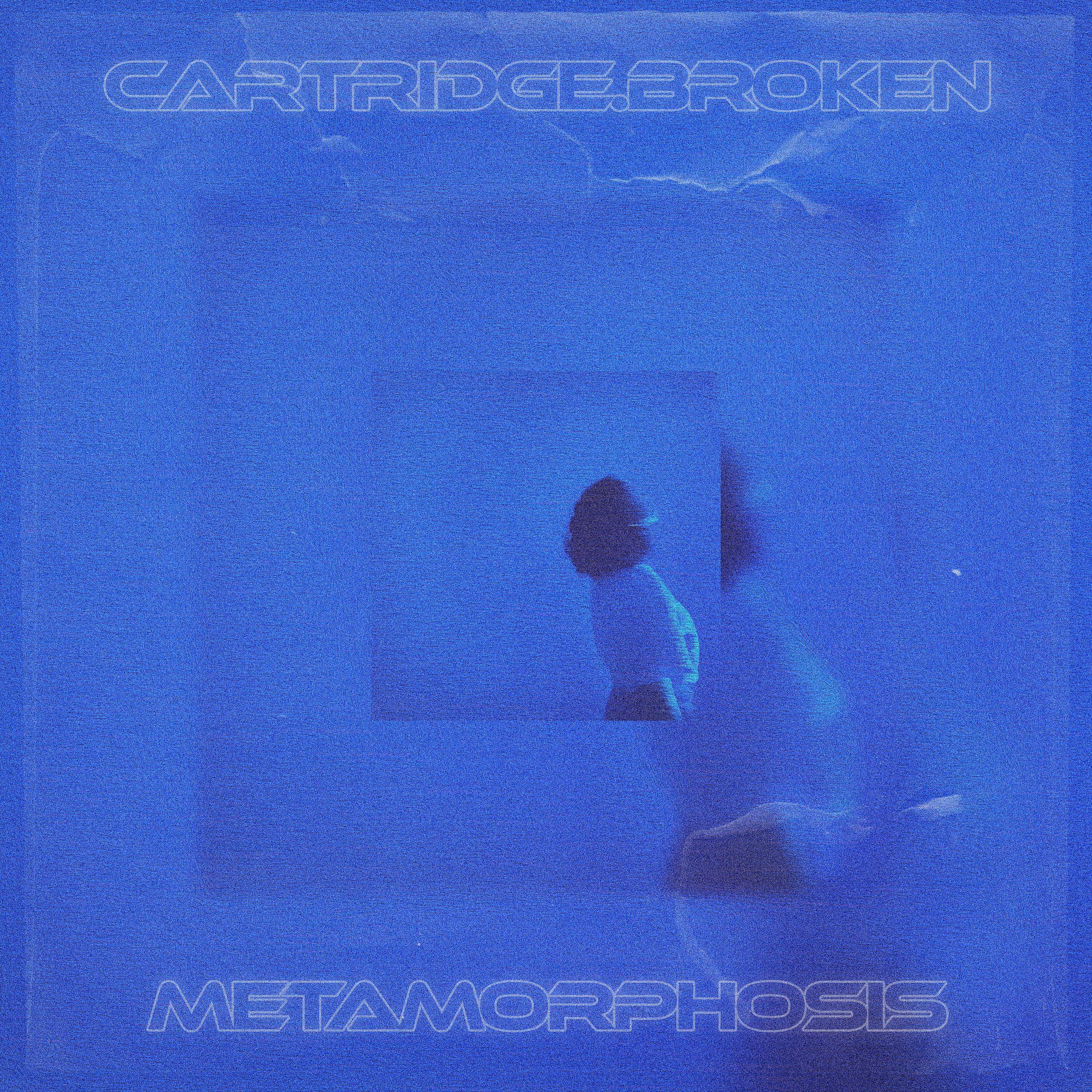Постер альбома metamorphosis