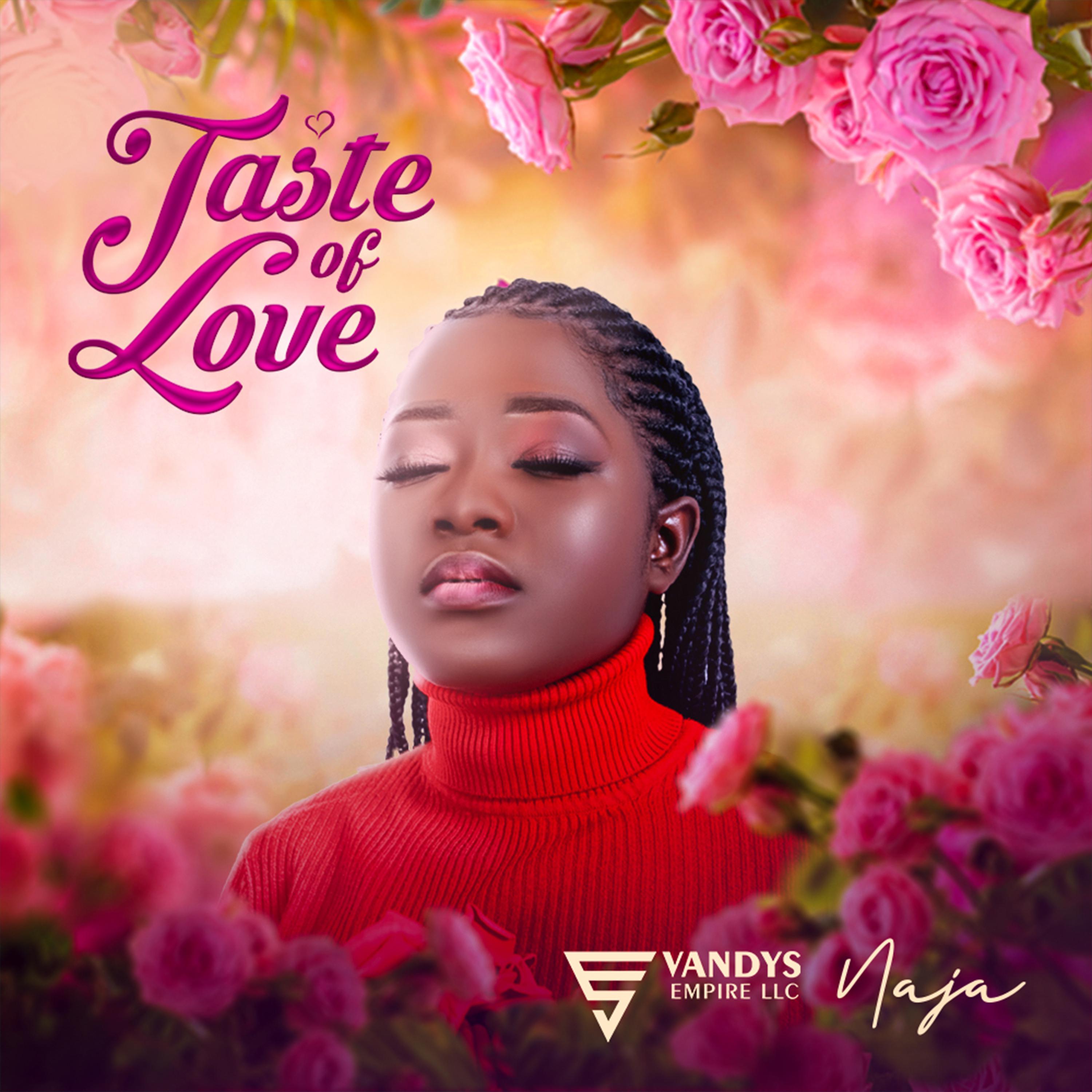 Постер альбома Taste of Love