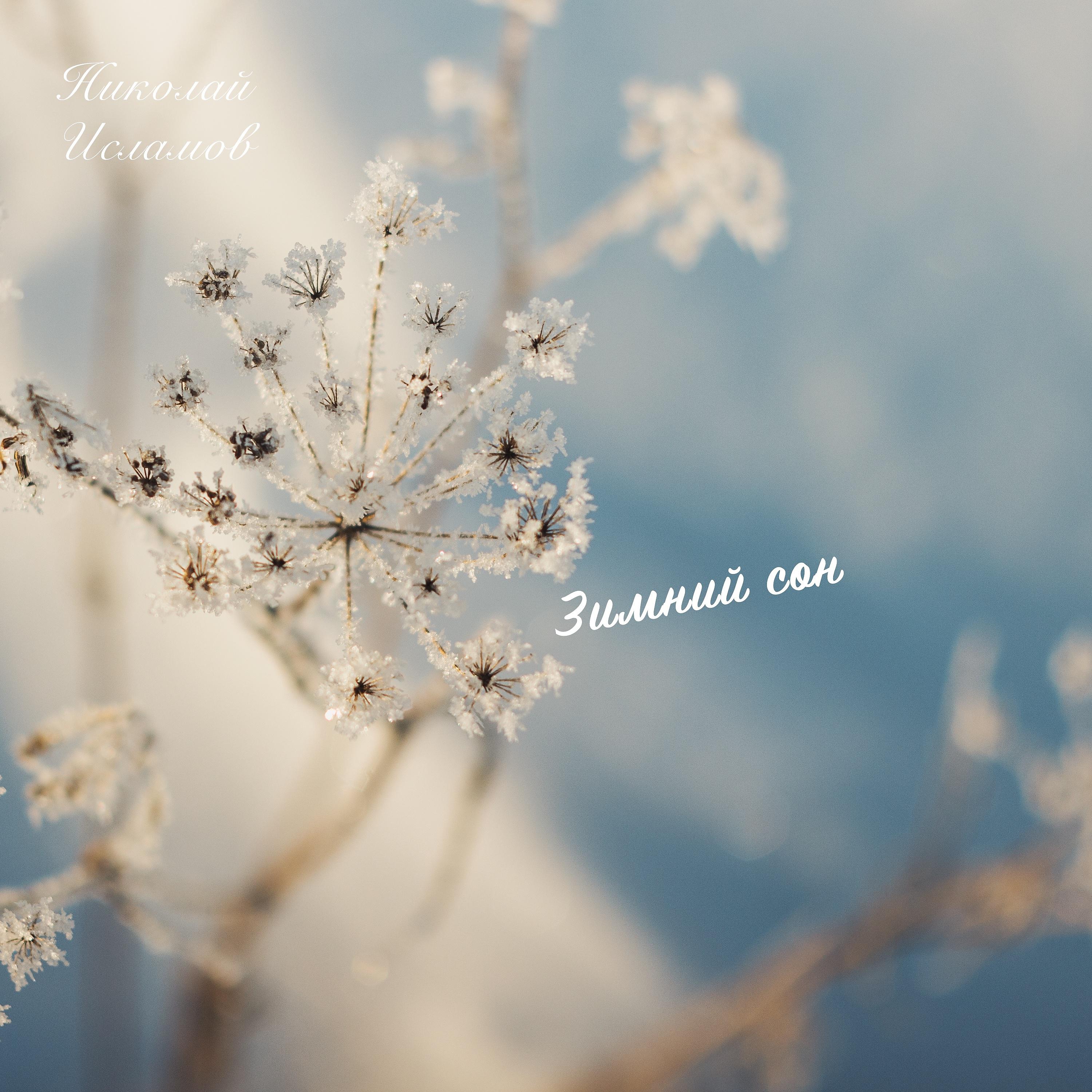 Постер альбома Зимний сон