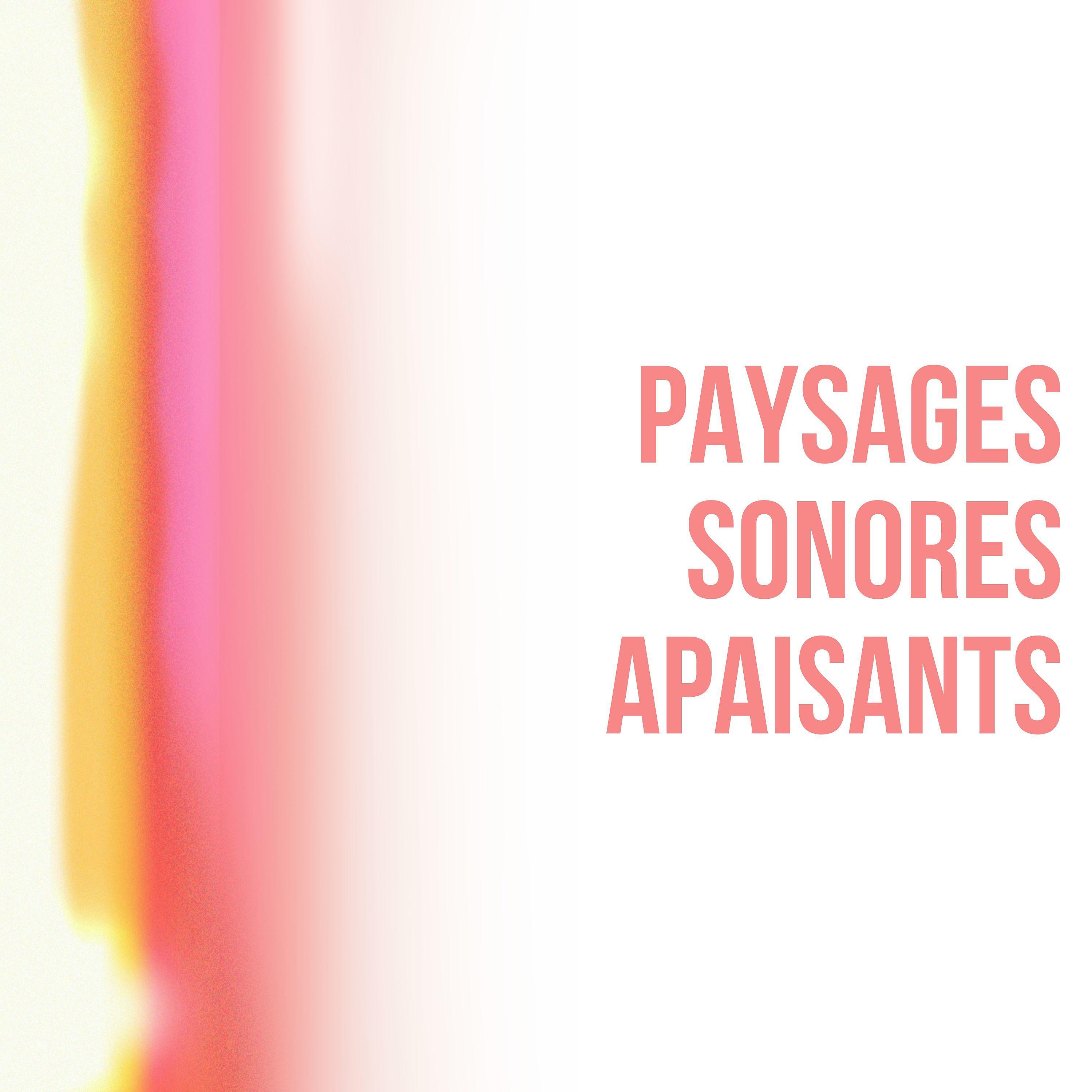 Постер альбома Paysages sonores apaisants