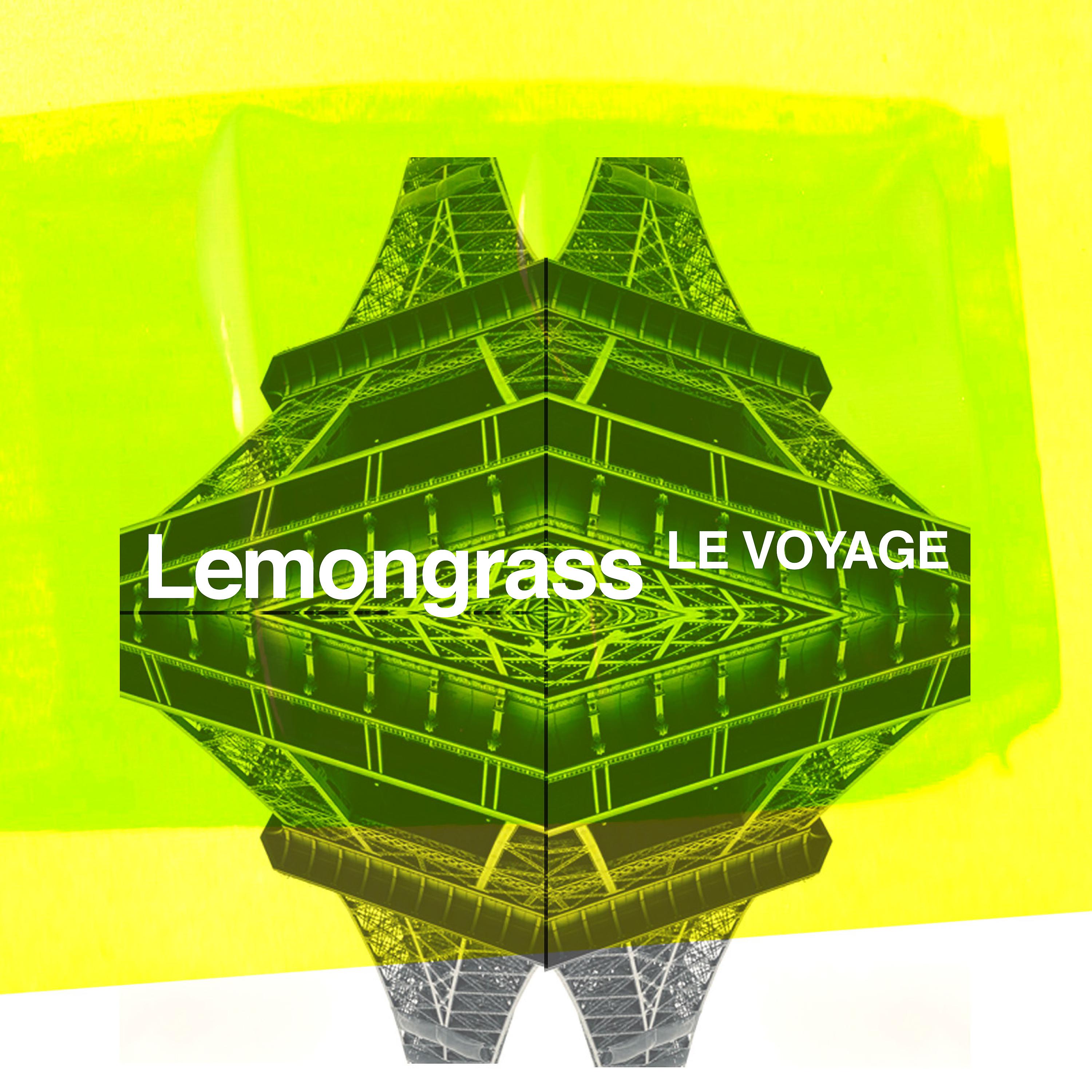 Постер альбома Le voyage