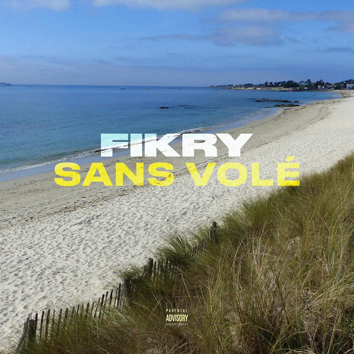 Постер альбома Sans volé