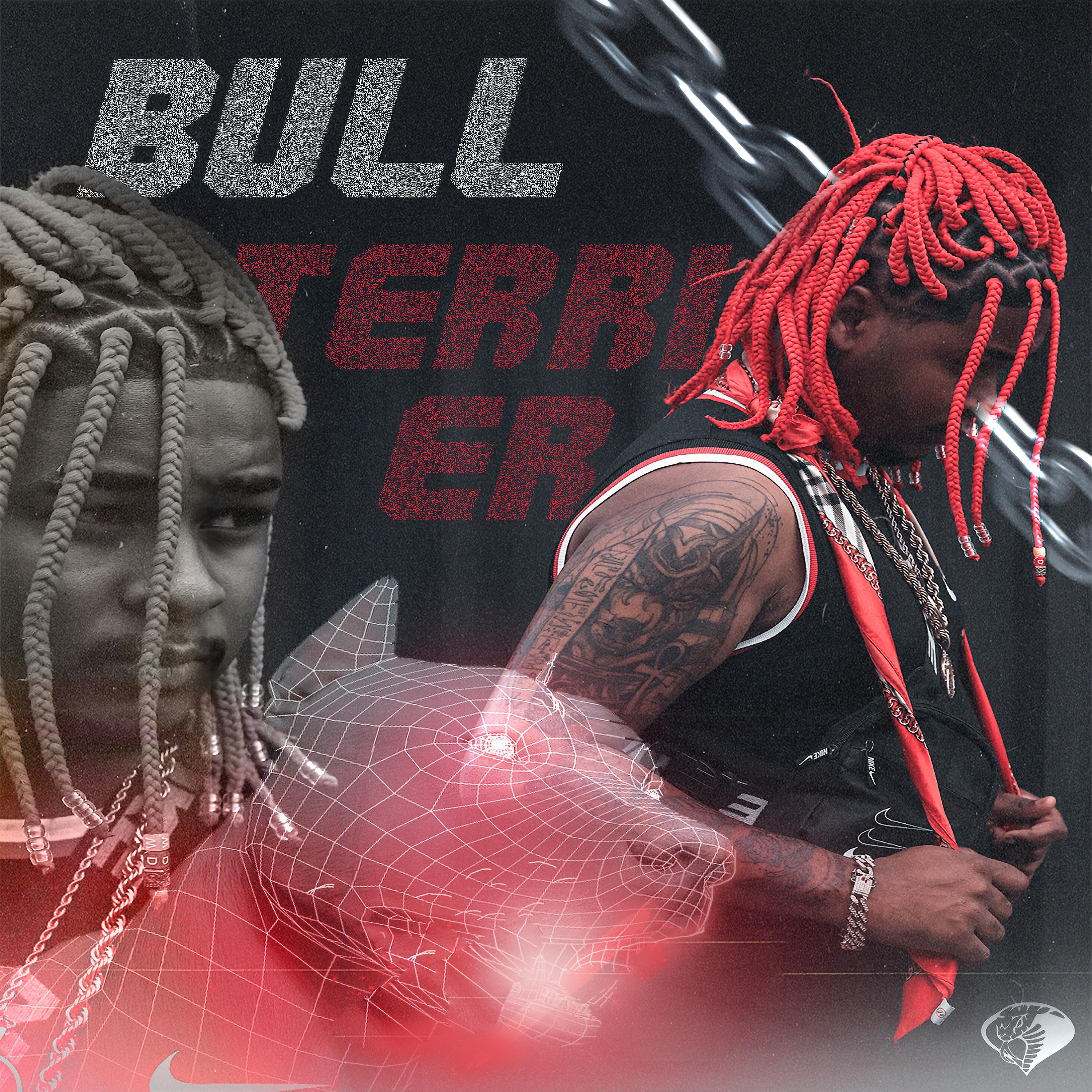Постер альбома Bull Terrier