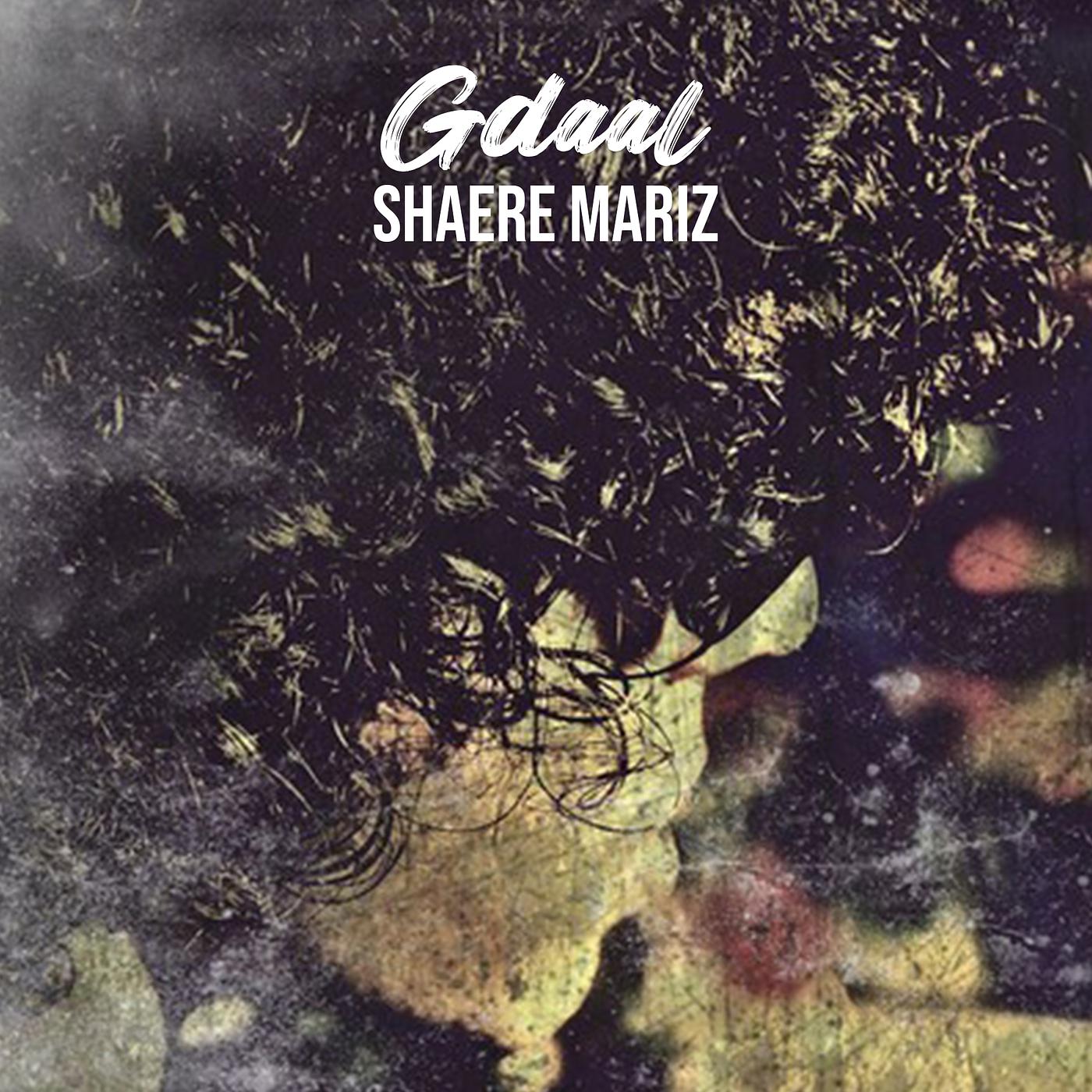 Постер альбома Shaere Mariz