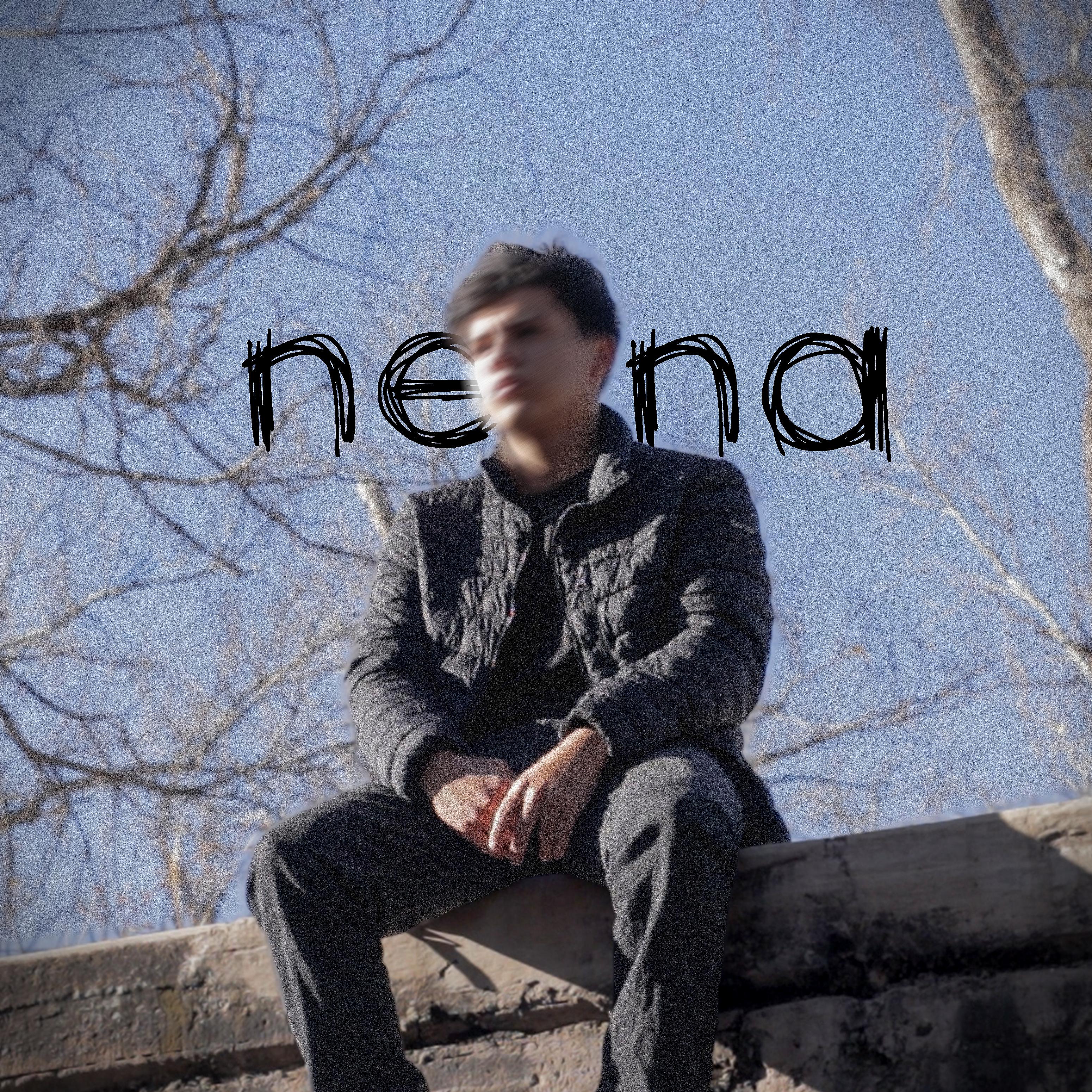 Постер альбома Nena