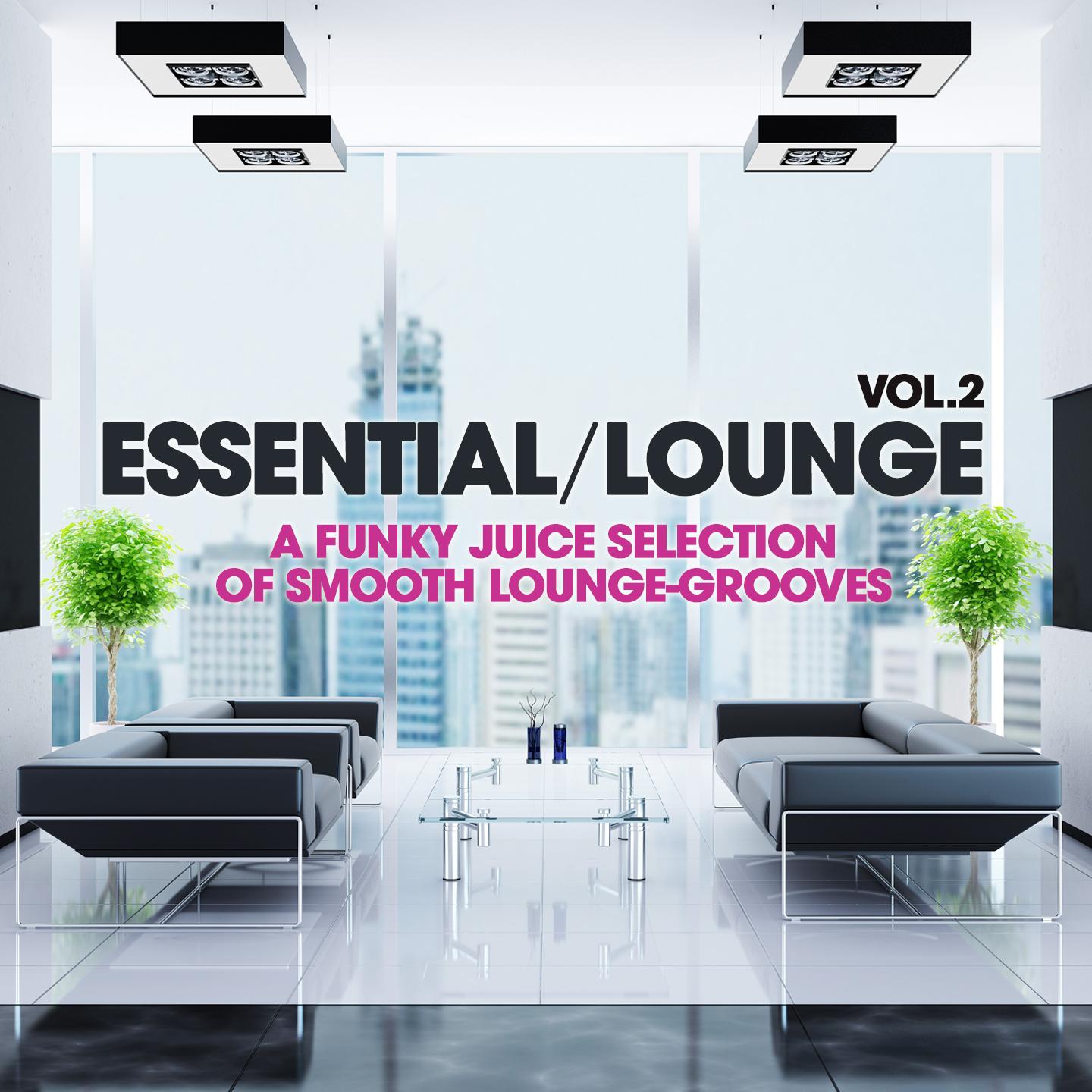 Постер альбома Essential Lounge, Vol. 2