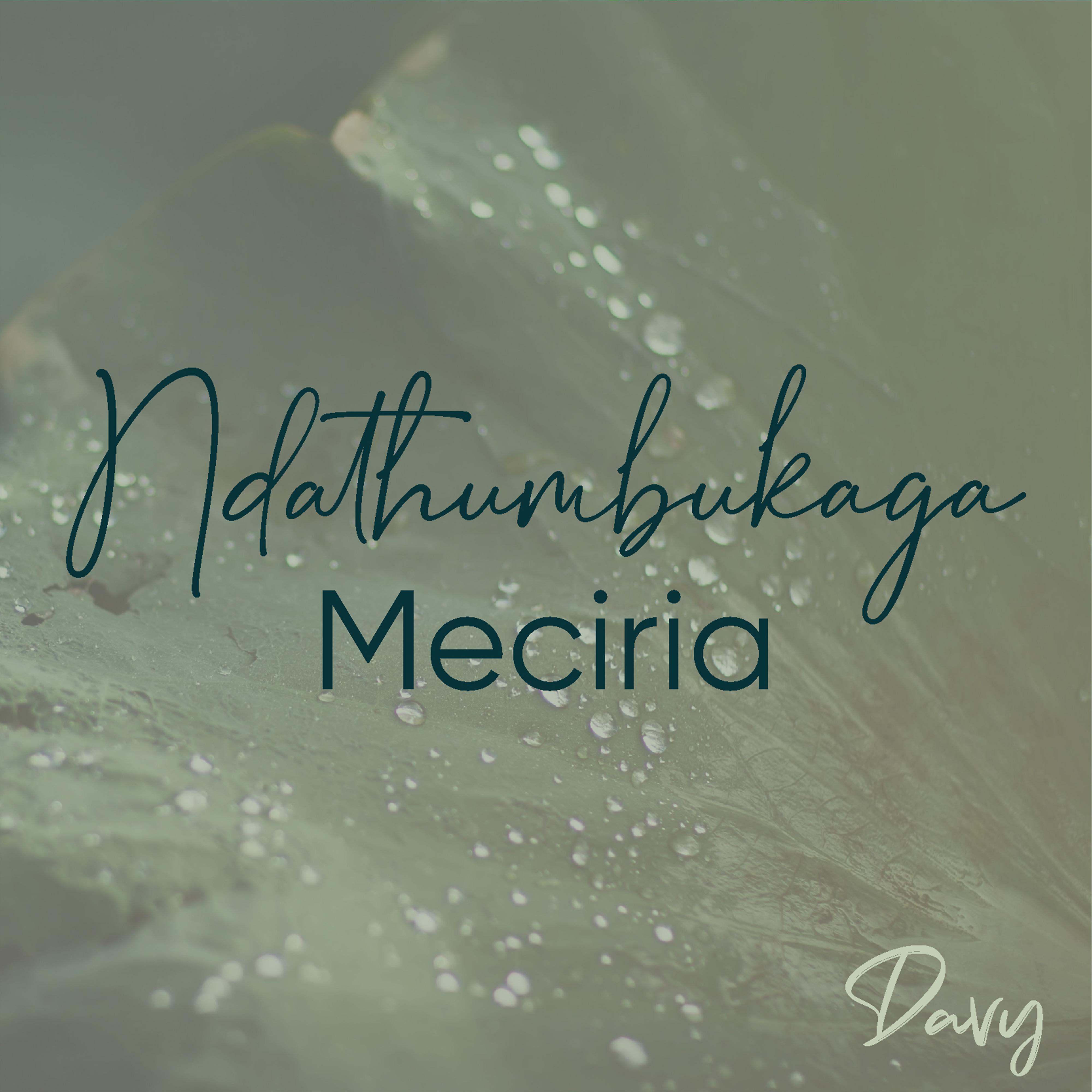 Постер альбома Ndathumbukaga Meciria