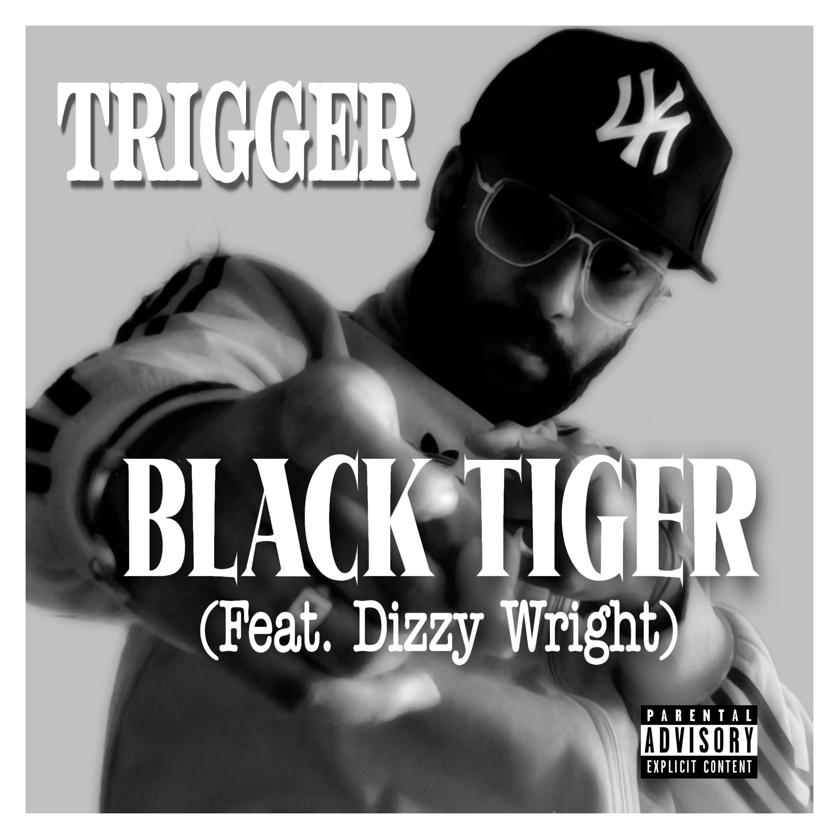 Постер альбома Black Tiger (feat. Dizzy Wright)