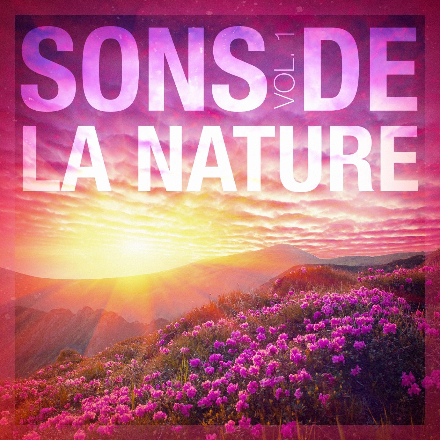 Постер альбома Sons de la nature, vol. 1