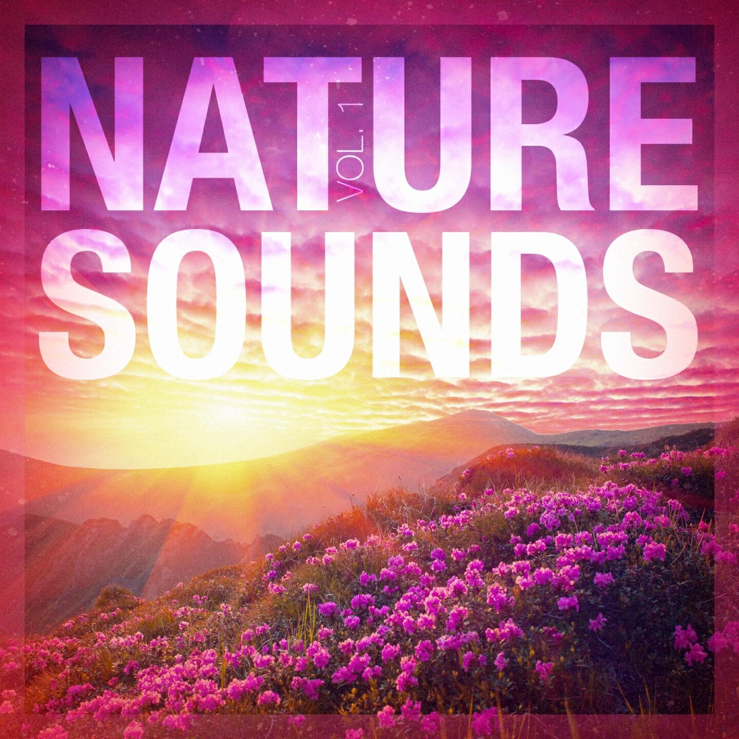 Sounds of Nature White Noise Sound Effects - Sounds from the Sea 3: Breaking Waves