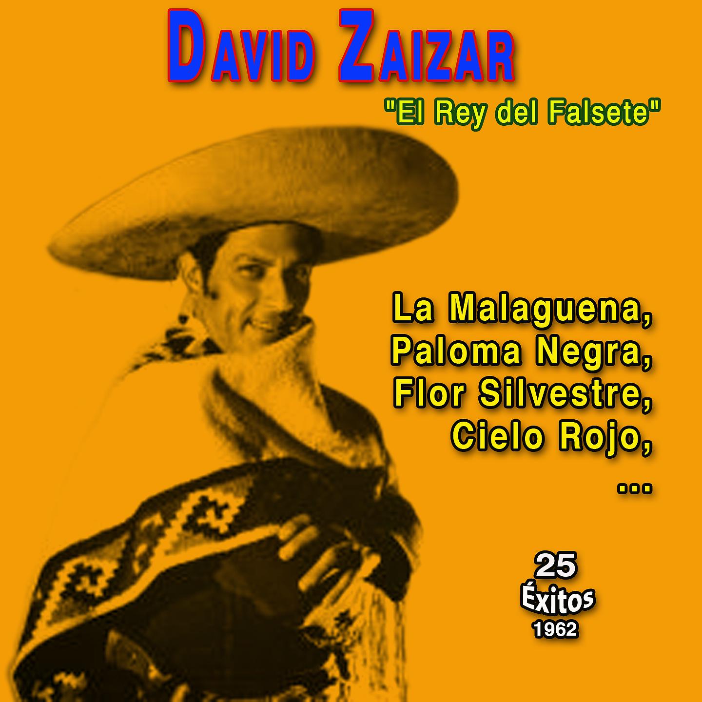 Постер альбома "El Rey del Falsete" David Zaizar
