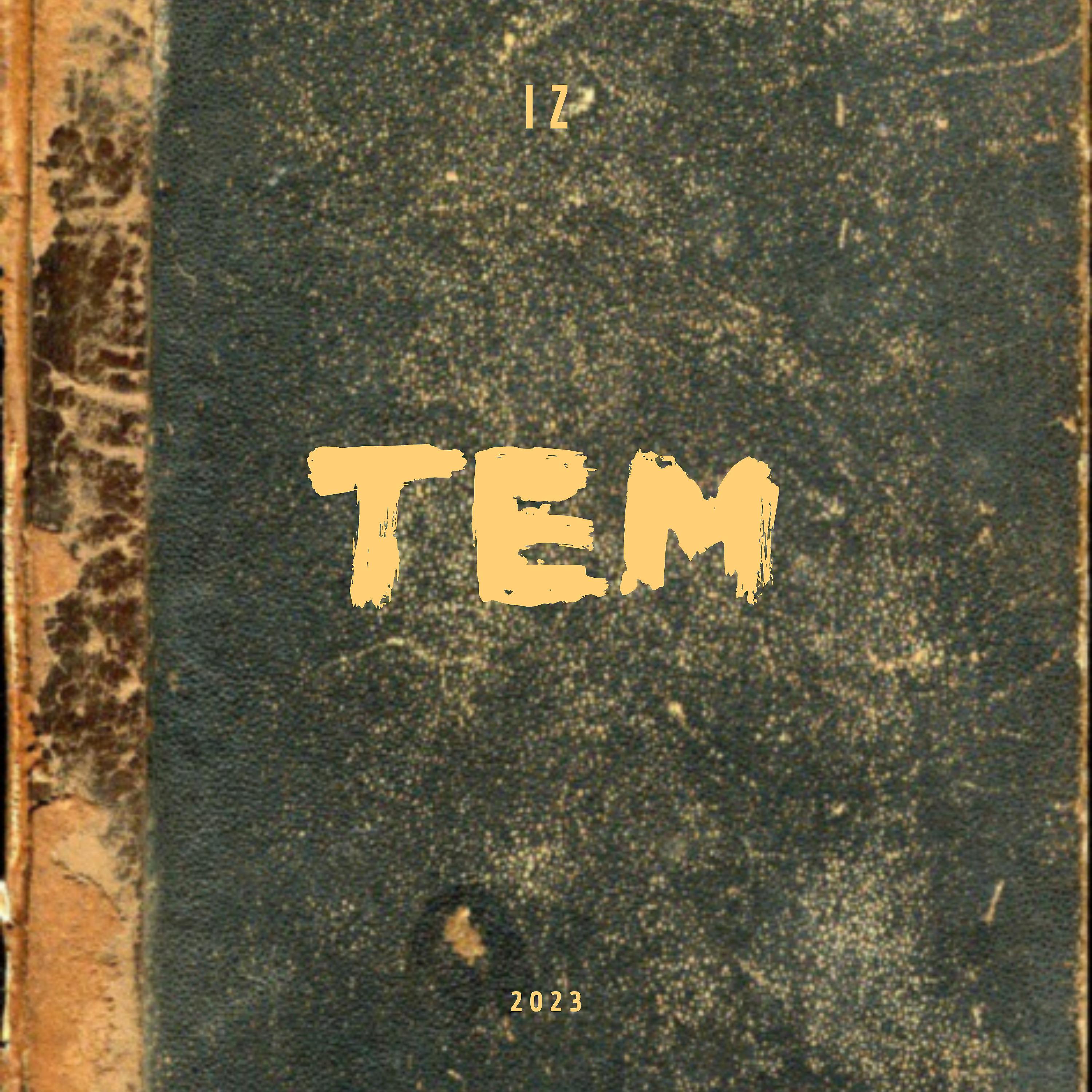 Постер альбома Tem