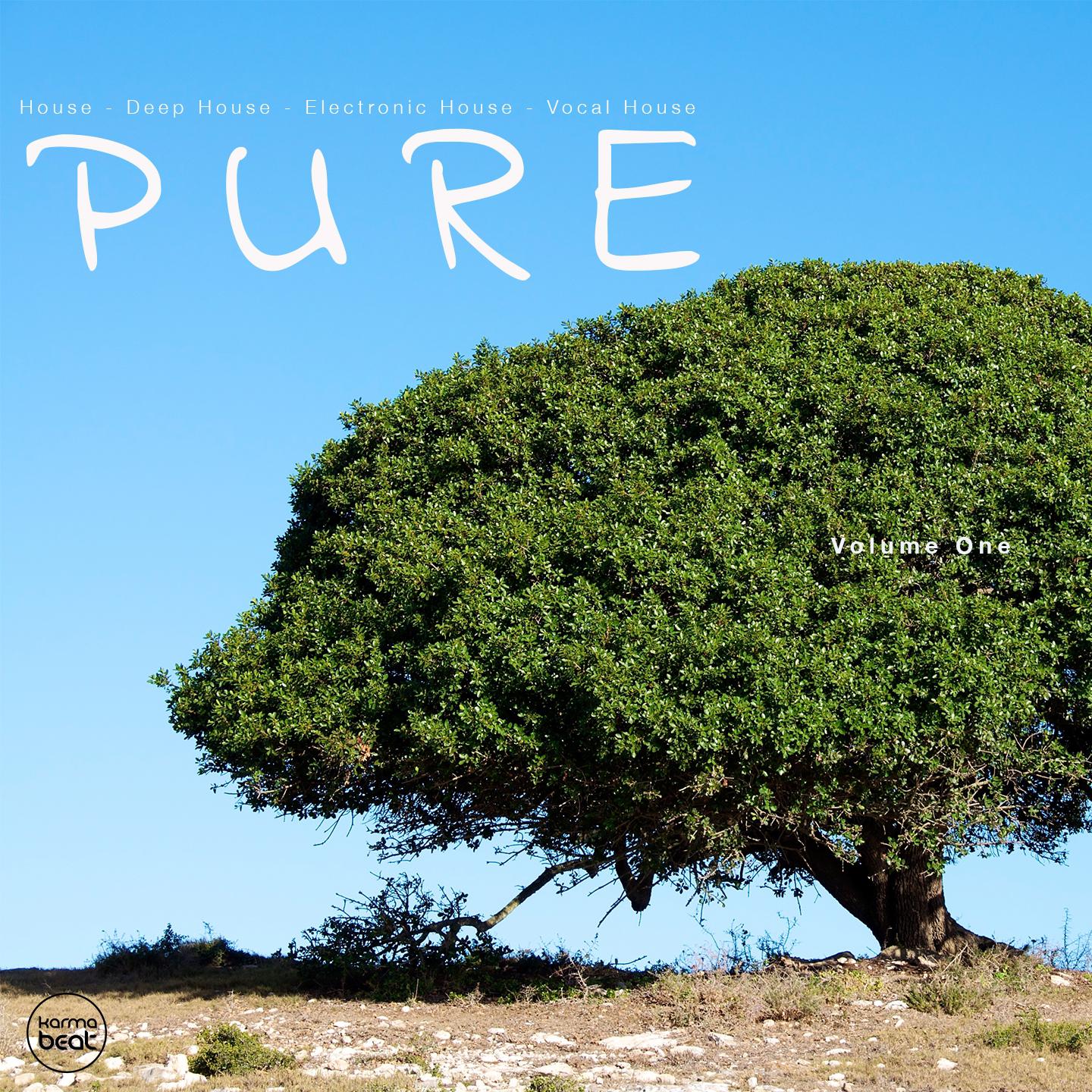 Постер альбома Pure, Vol. 1
