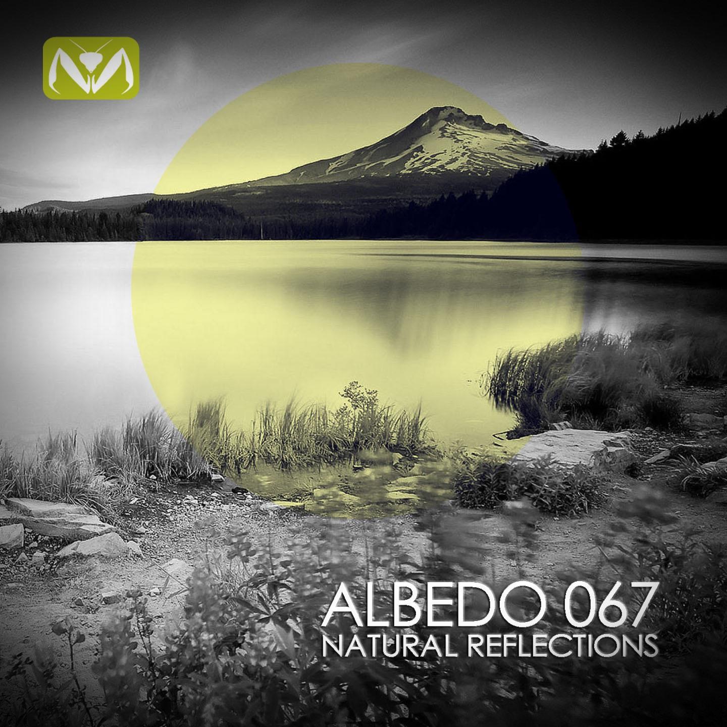 Постер альбома Natural Reflections