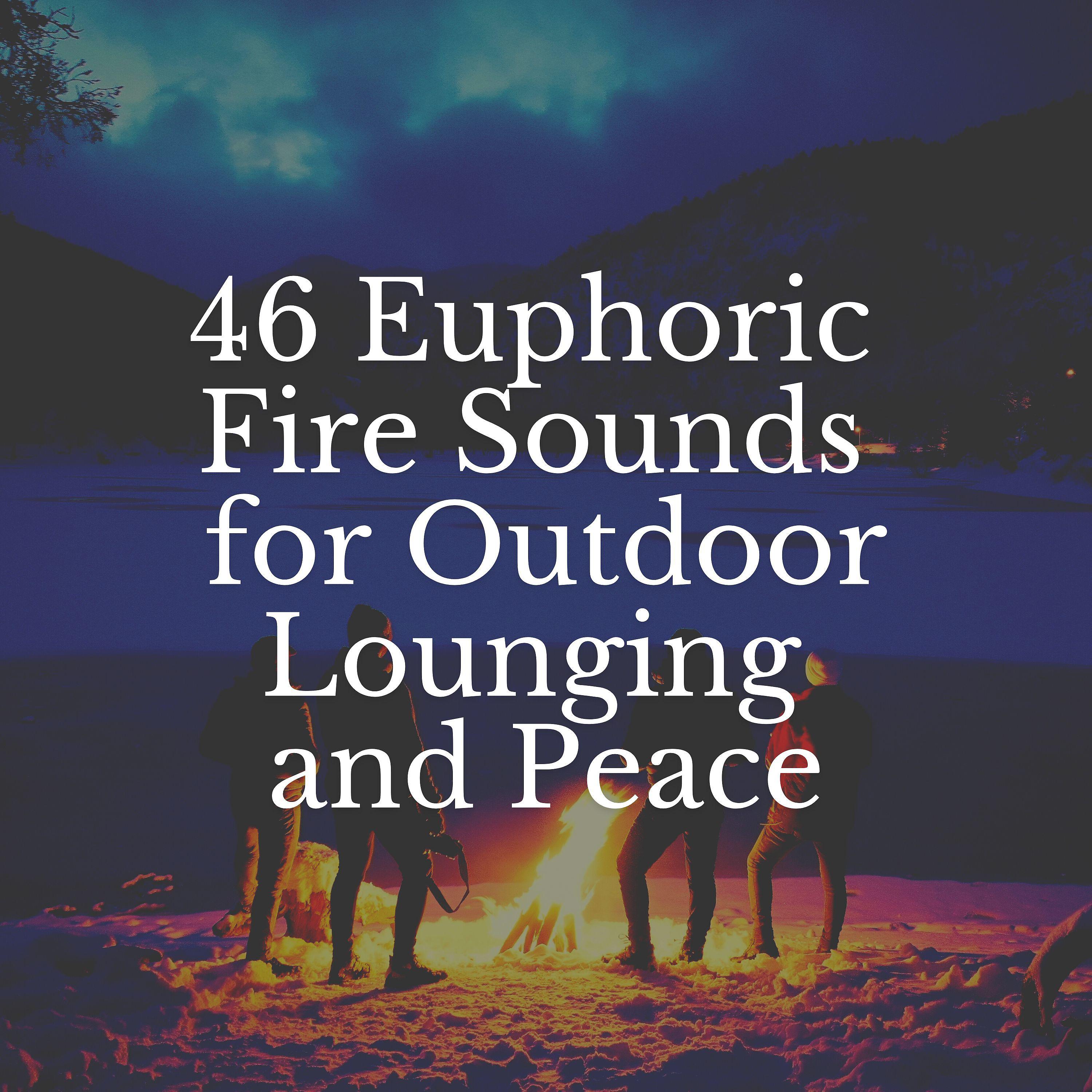 Постер альбома 46 Euphoric Fire Sounds for Outdoor Lounging