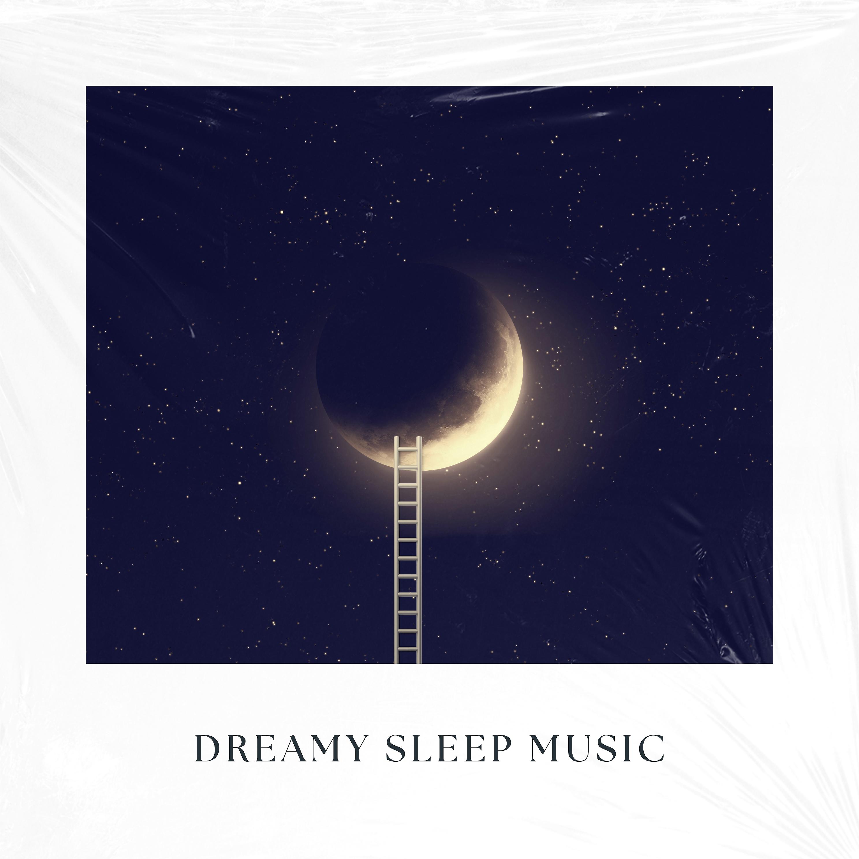 Постер альбома Dreamy Sleep Music