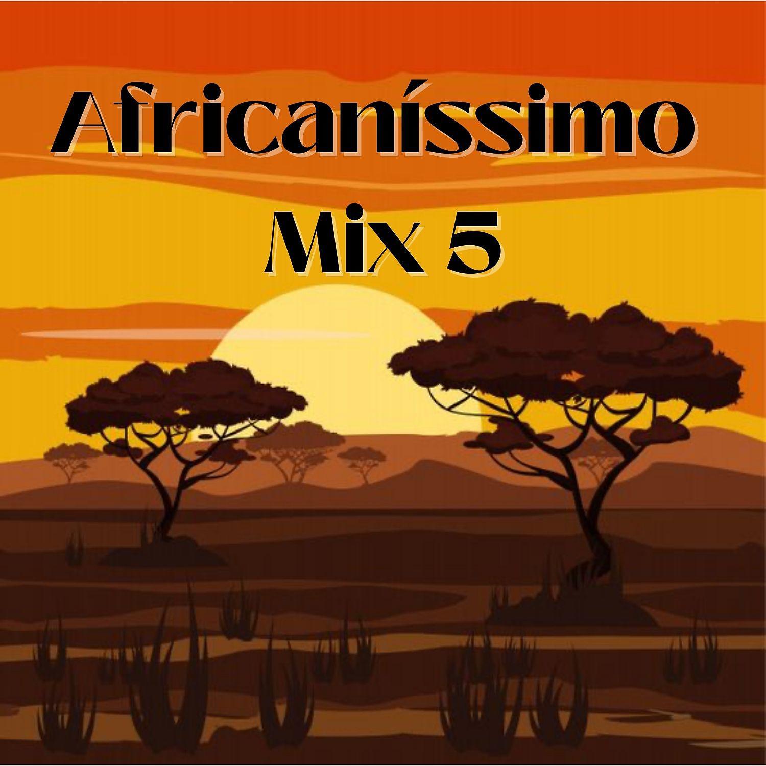 Постер альбома Africaníssimo Mix 5