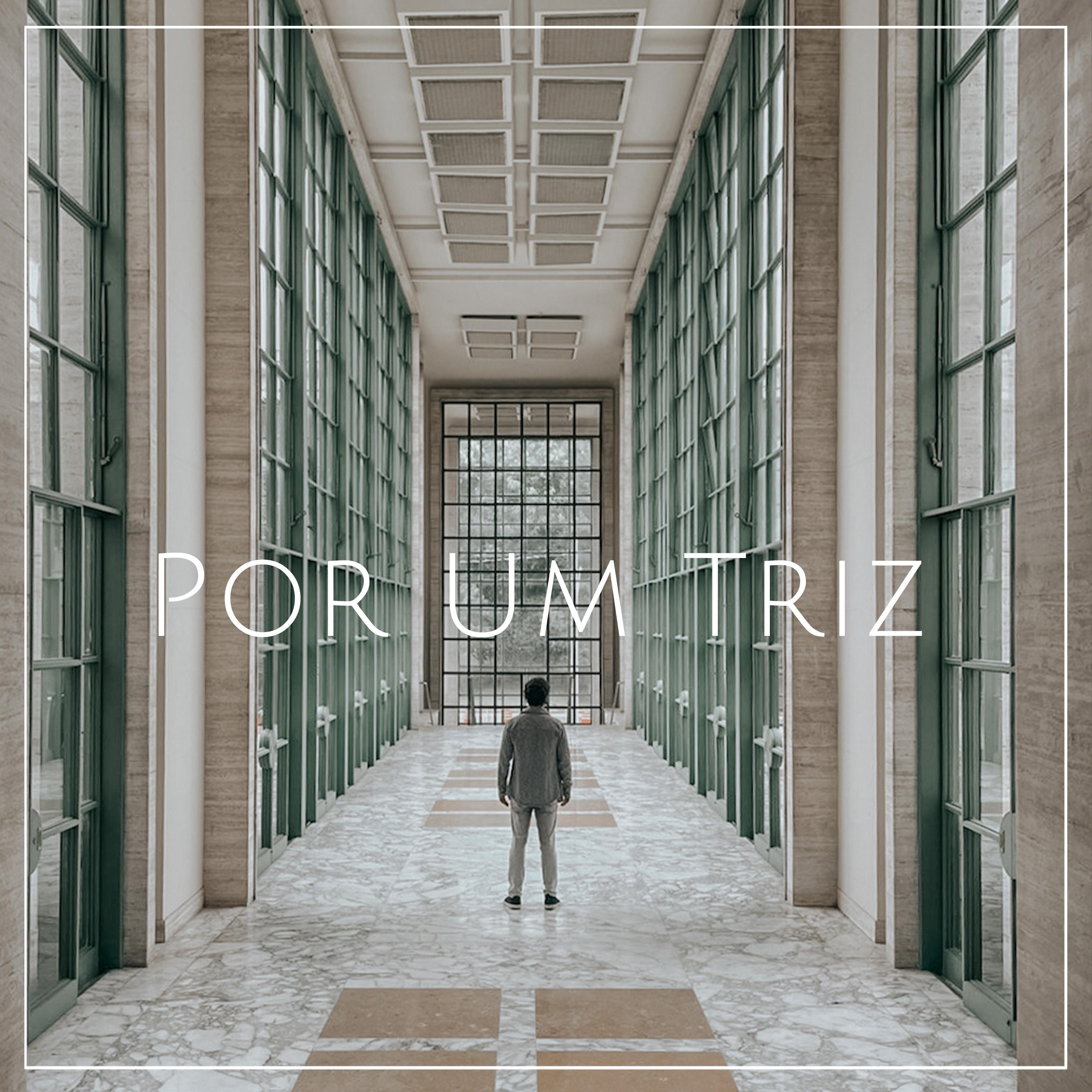 Постер альбома Por um Triz