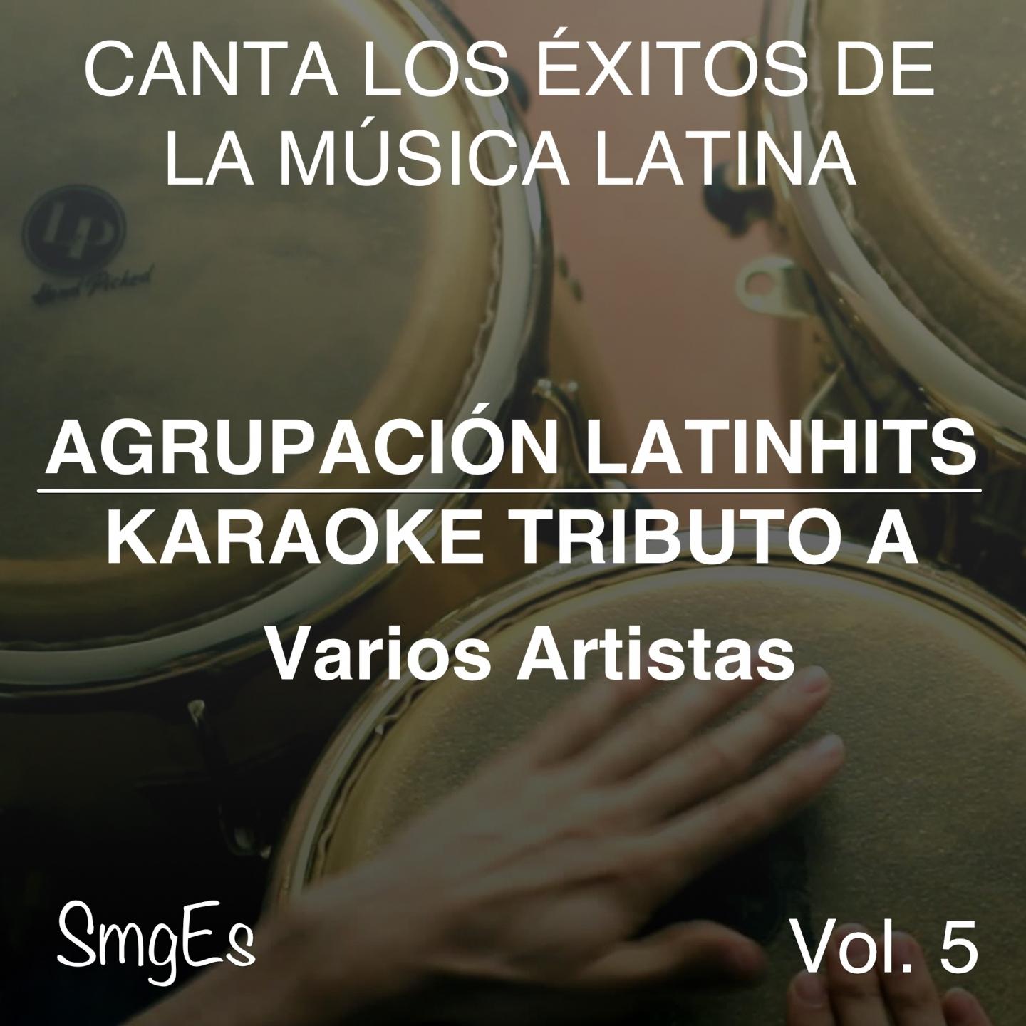Постер альбома Instrumental Karaoke Series: Varios Artistas, Vol. 5