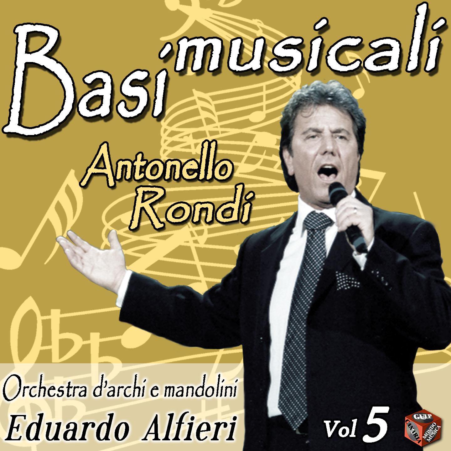 Постер альбома Basi musicali, Vol. 5