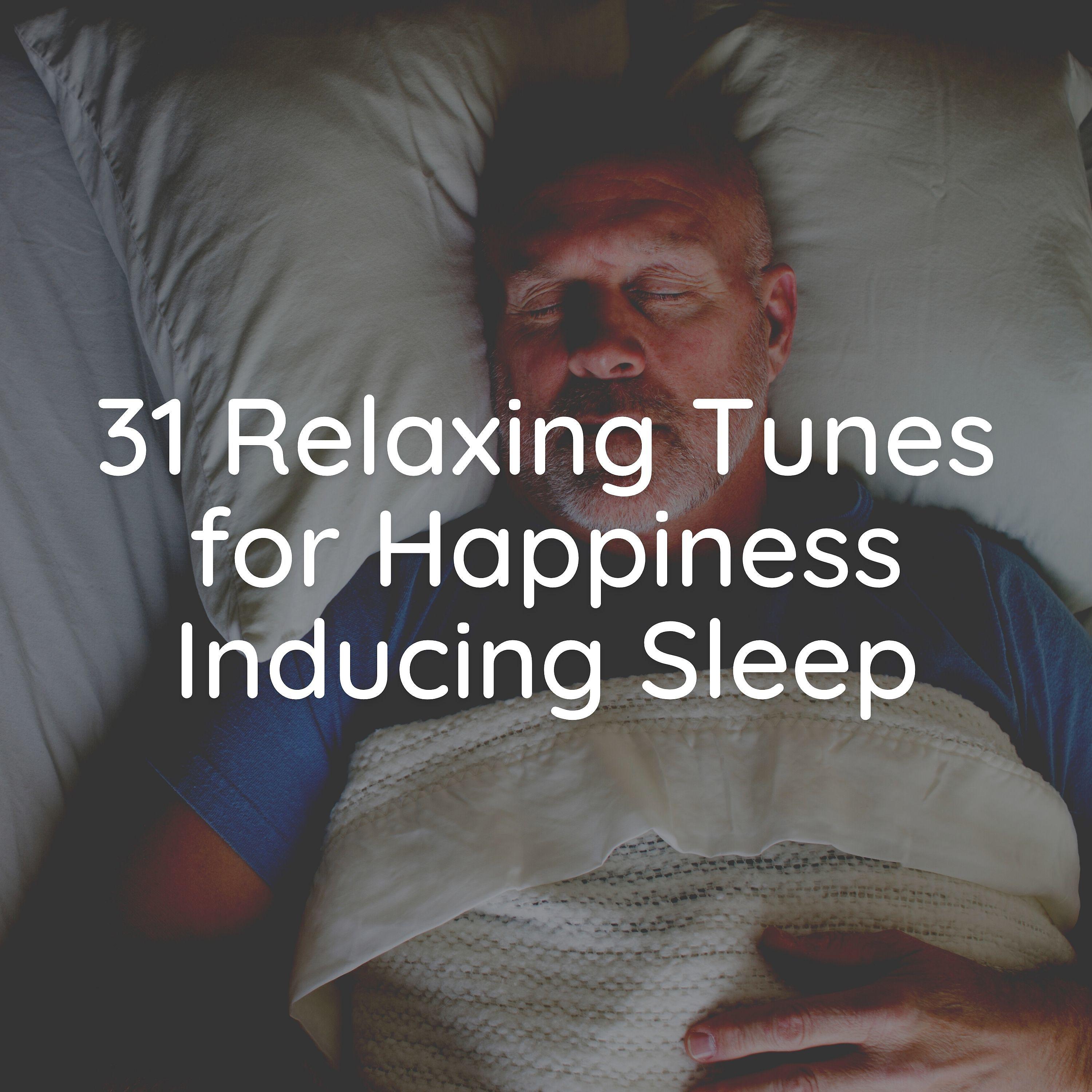 Постер альбома 31 Relaxing Tunes for Happiness Inducing Sleep