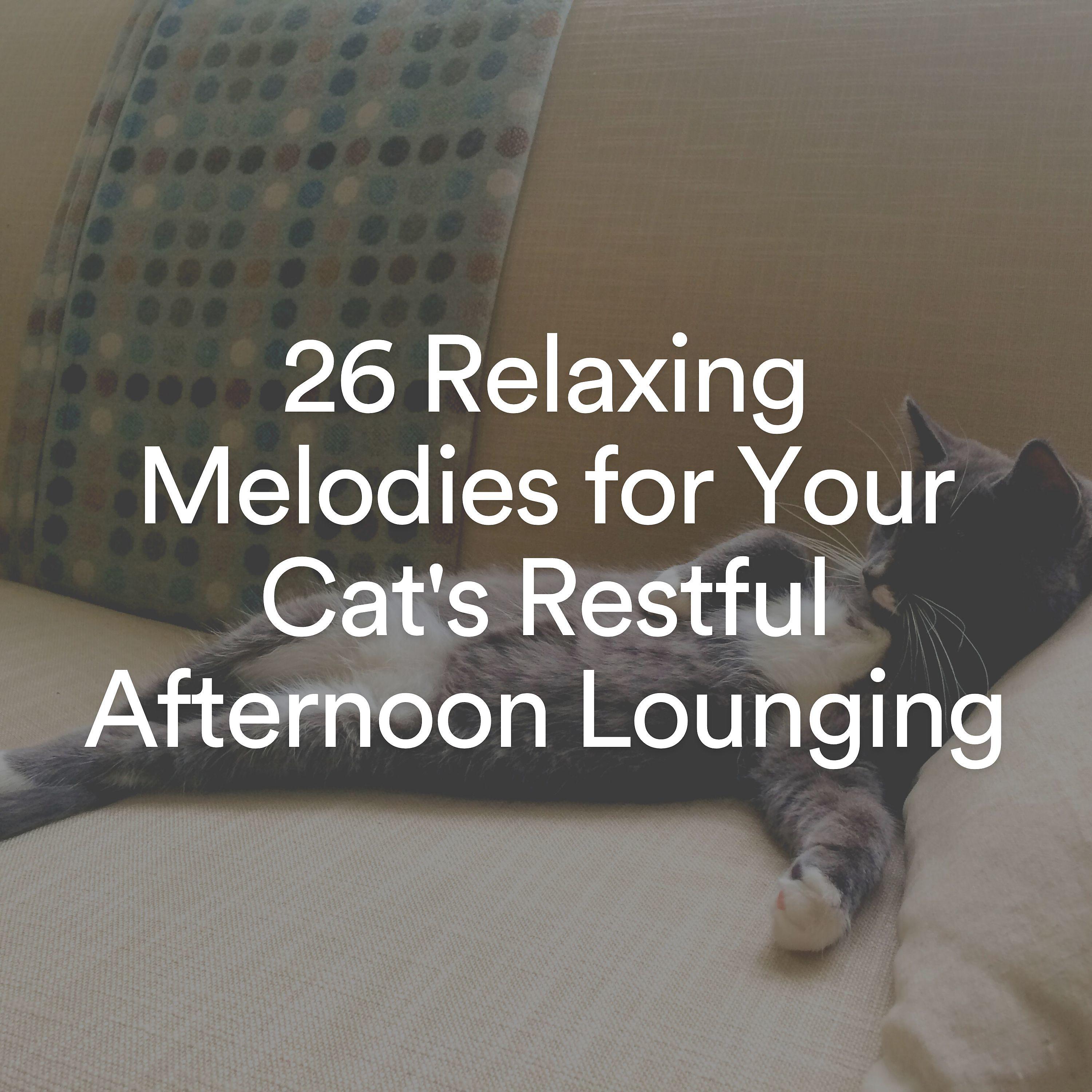 Постер альбома 26 Relaxing Melodies for Your Cat's Restful Afternoon Lounging