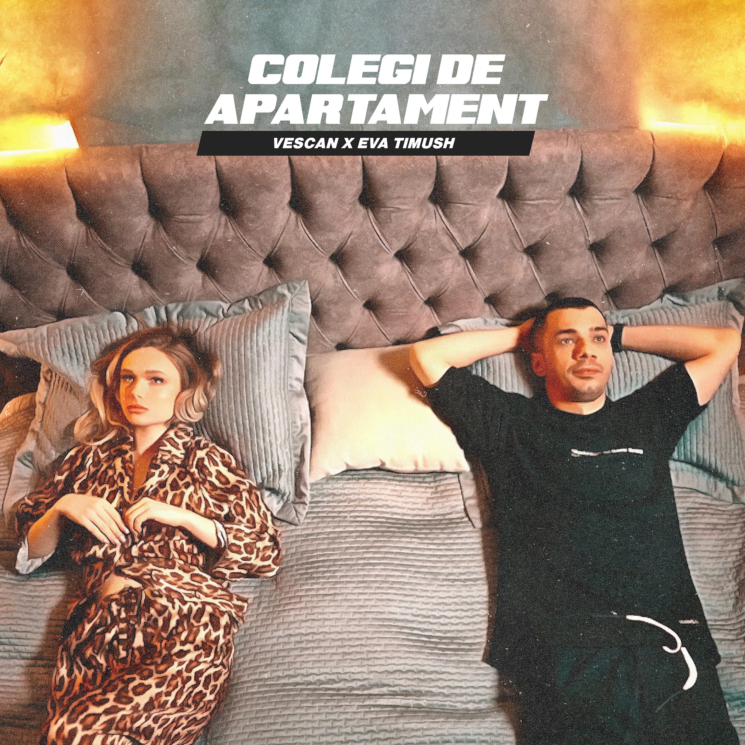 Постер альбома Colegi de apartament
