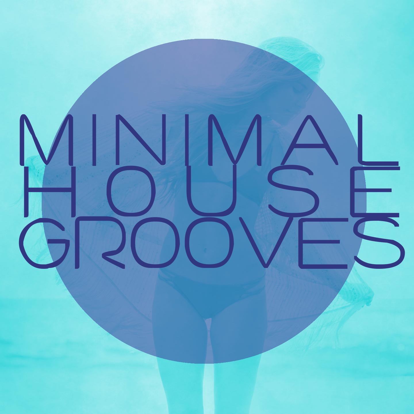 Постер альбома Minimal House Grooves, Vol. 1