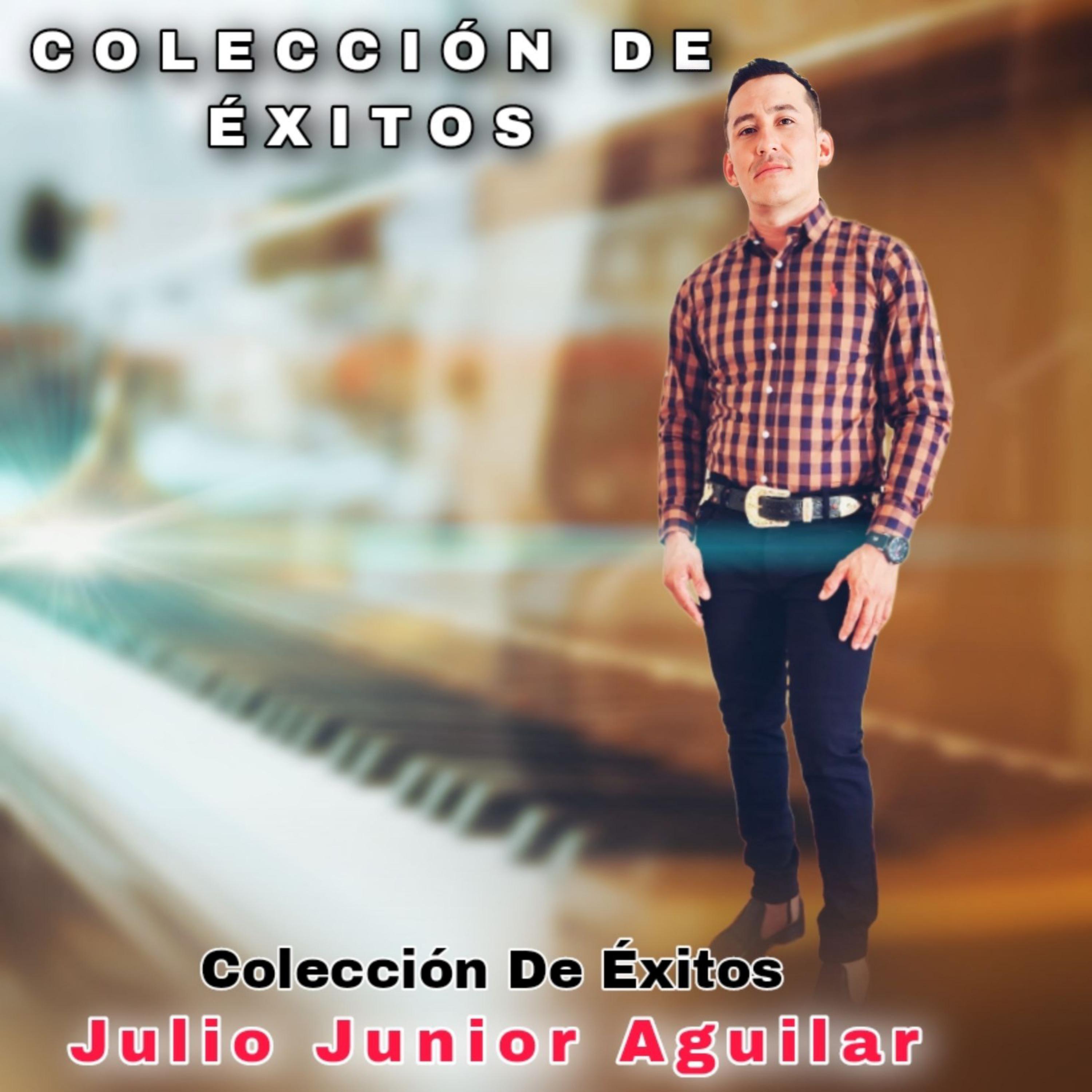 Постер альбома Colección de Éxitos