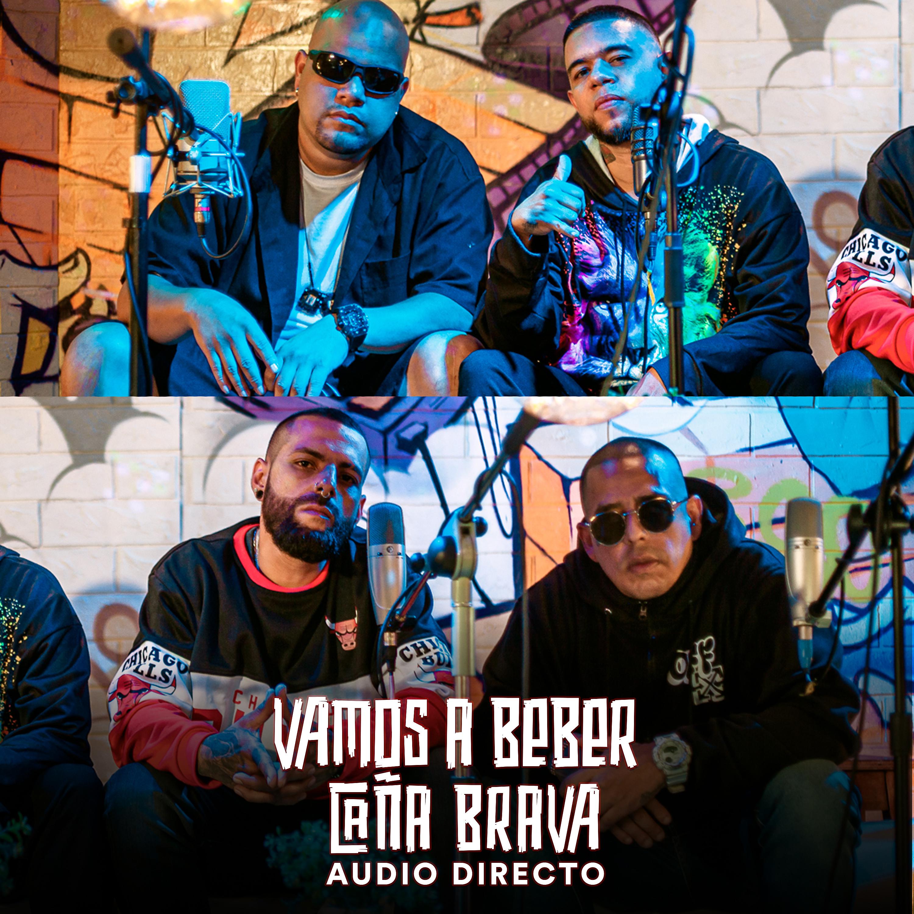 Постер альбома Vamos a Beber (Audio Directo)