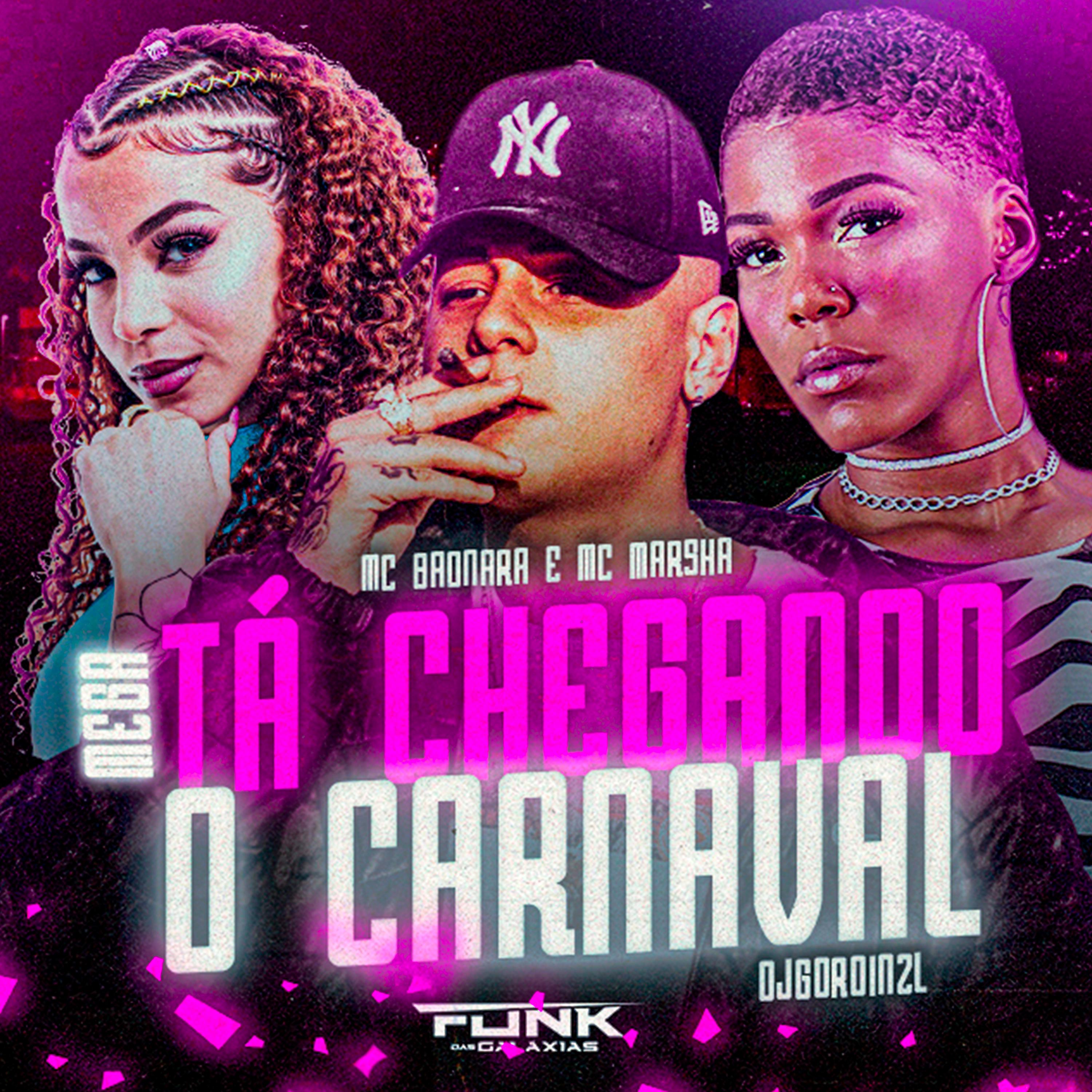 Постер альбома Mega Ta Chegando o Carnaval