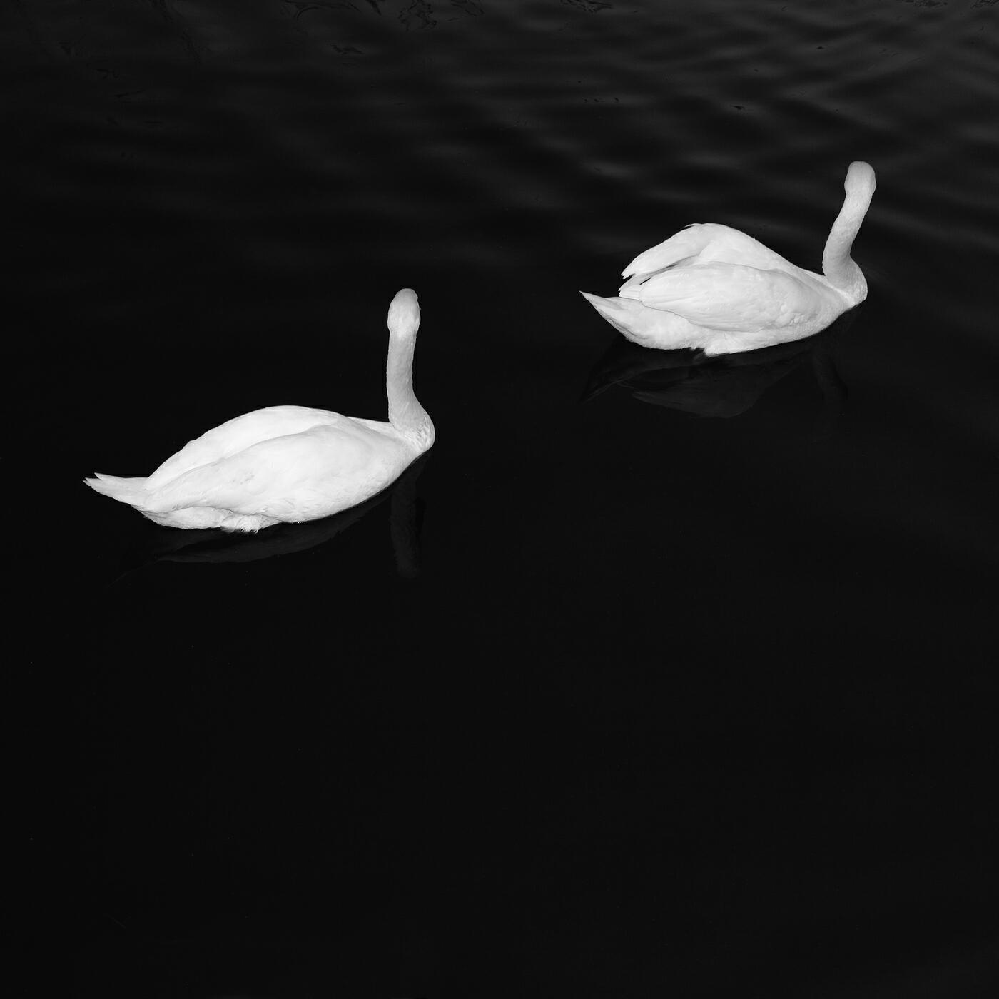 Cashmere Cat - Adore