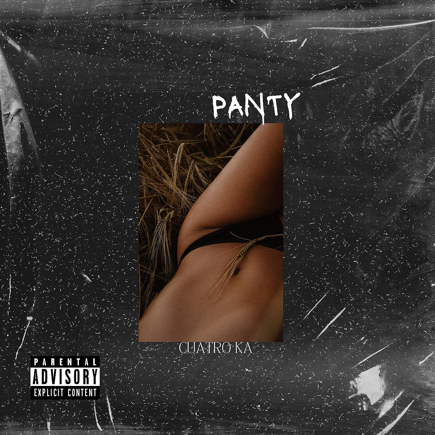 Постер альбома Panty