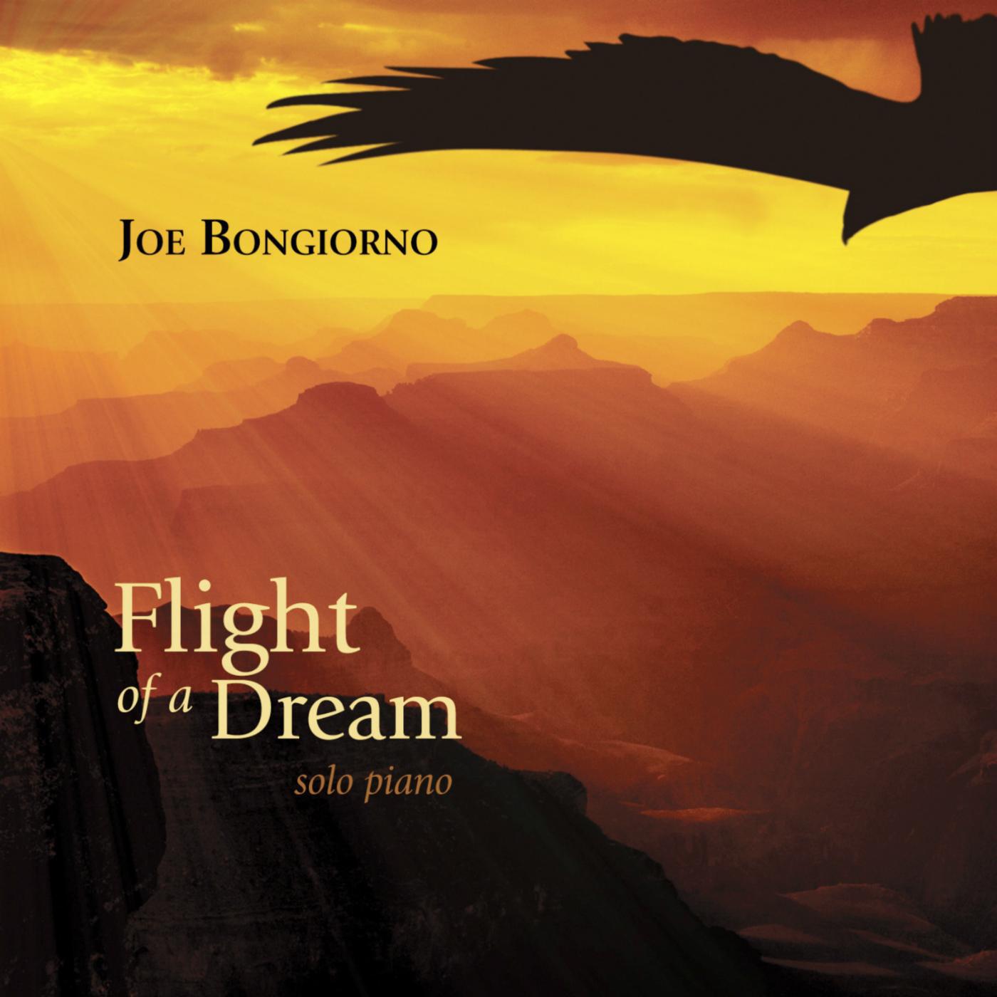 Постер альбома Flight of a Dream - Solo Piano