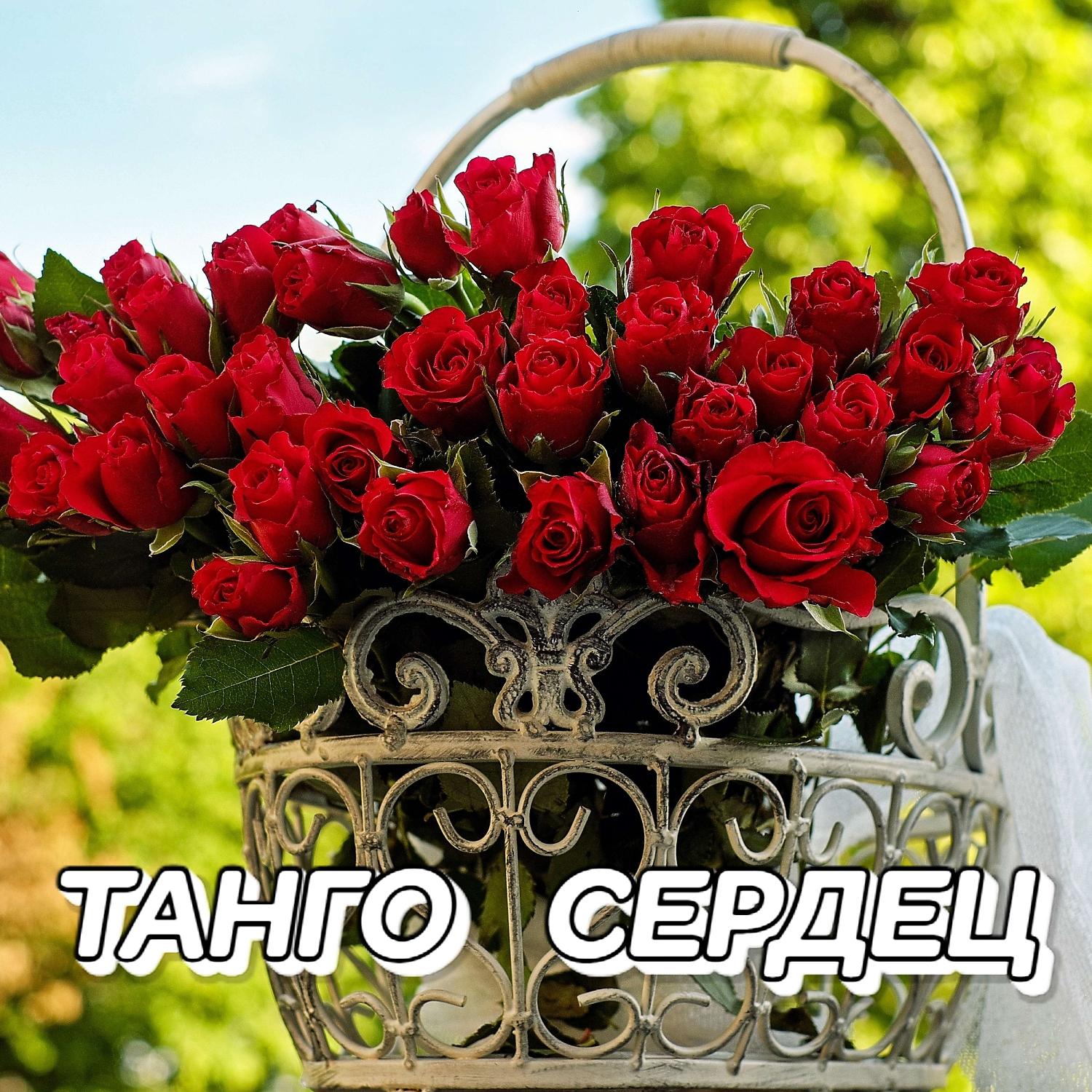 Постер альбома ТАНГО СЕРДЕЦ