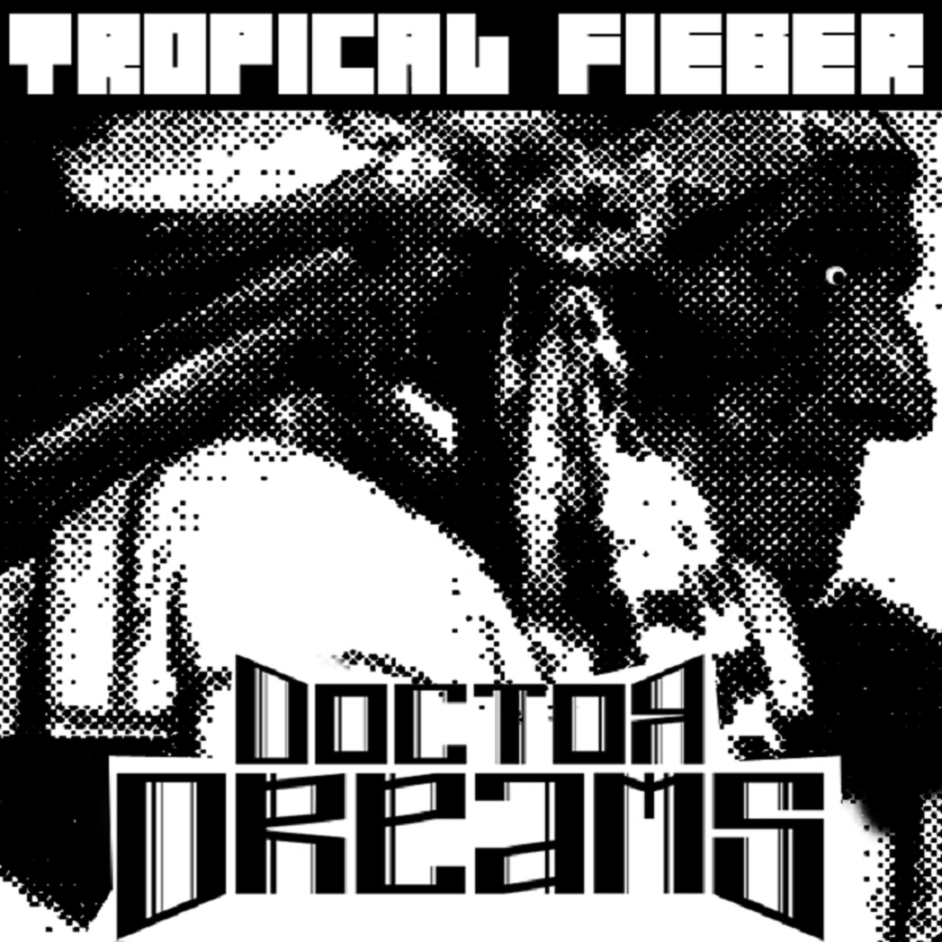 Постер альбома Tropical Fieber
