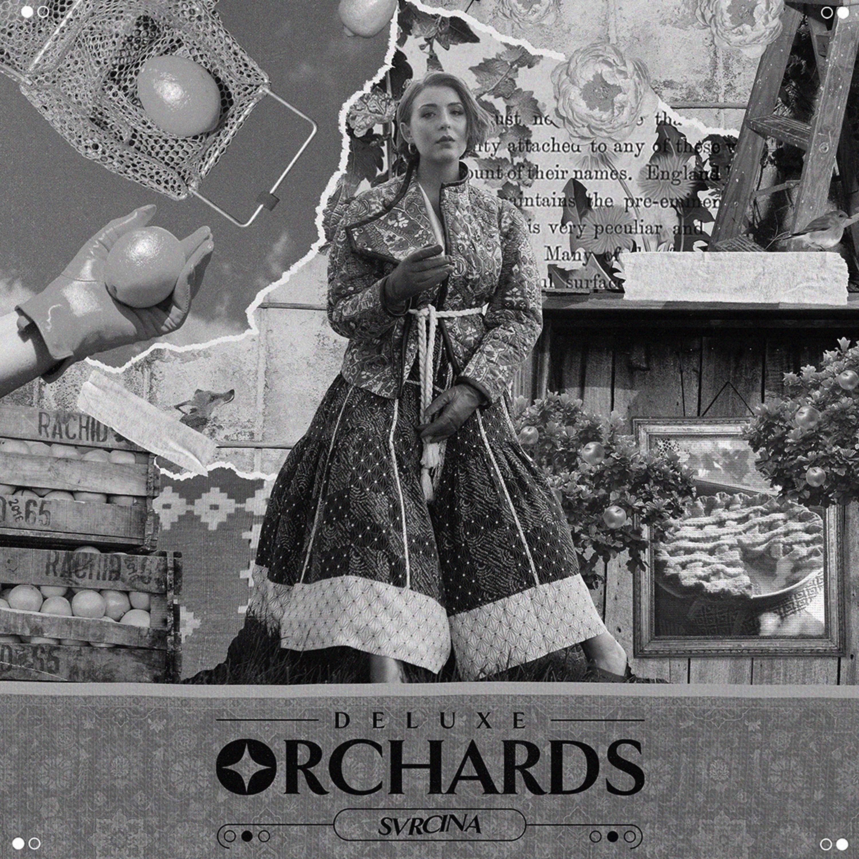 Постер альбома Orchards Deluxe
