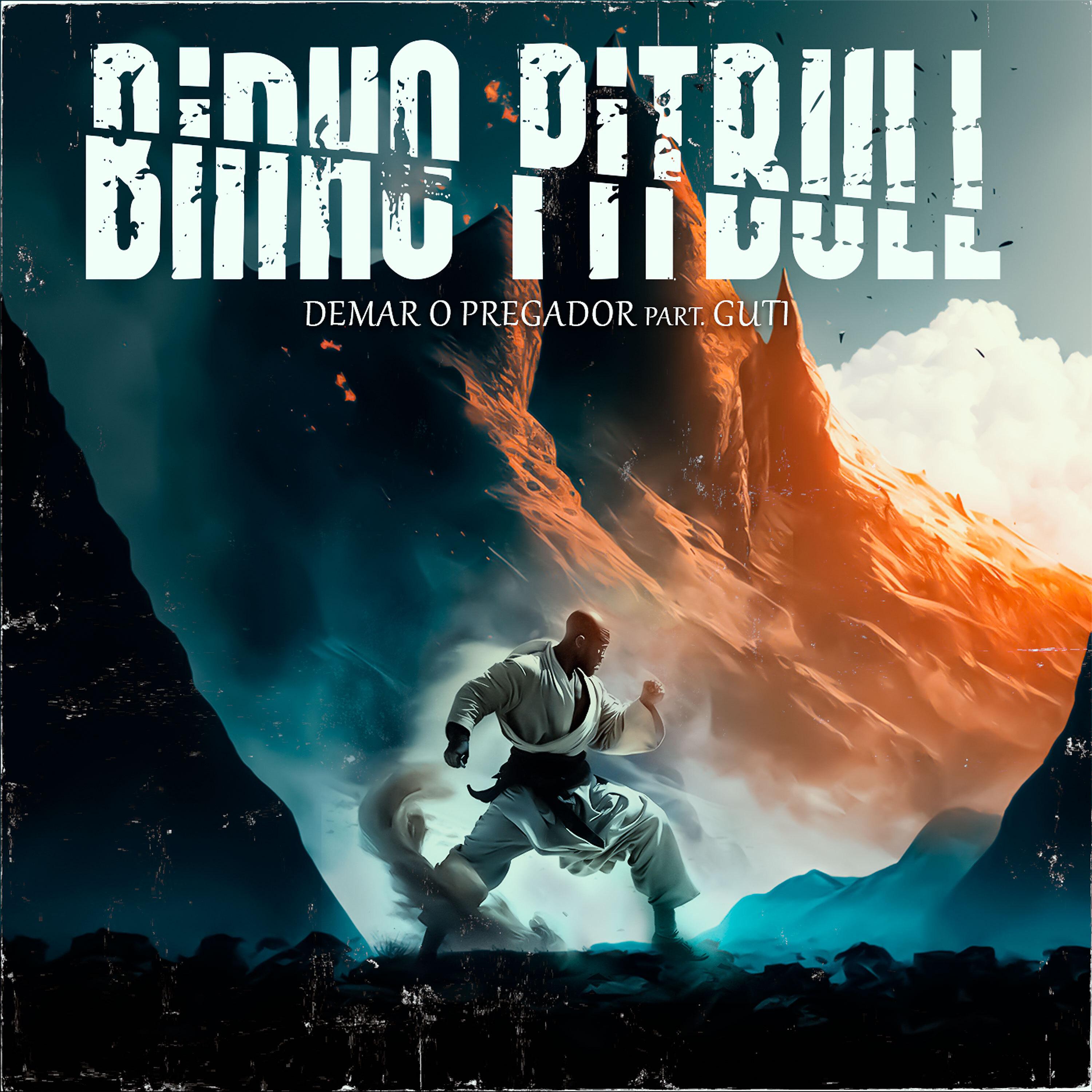 Постер альбома Binho Pitbull