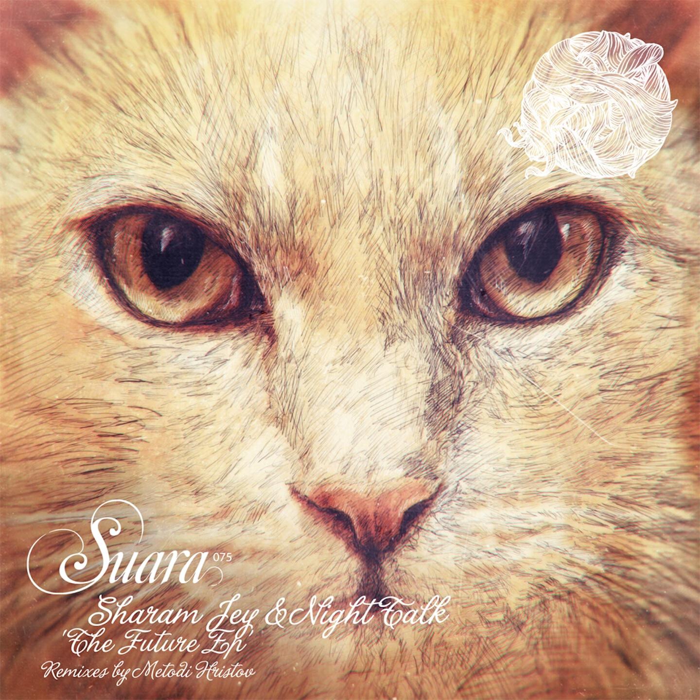 Sharam Jey - The Future (Metodi Hristov Remix)