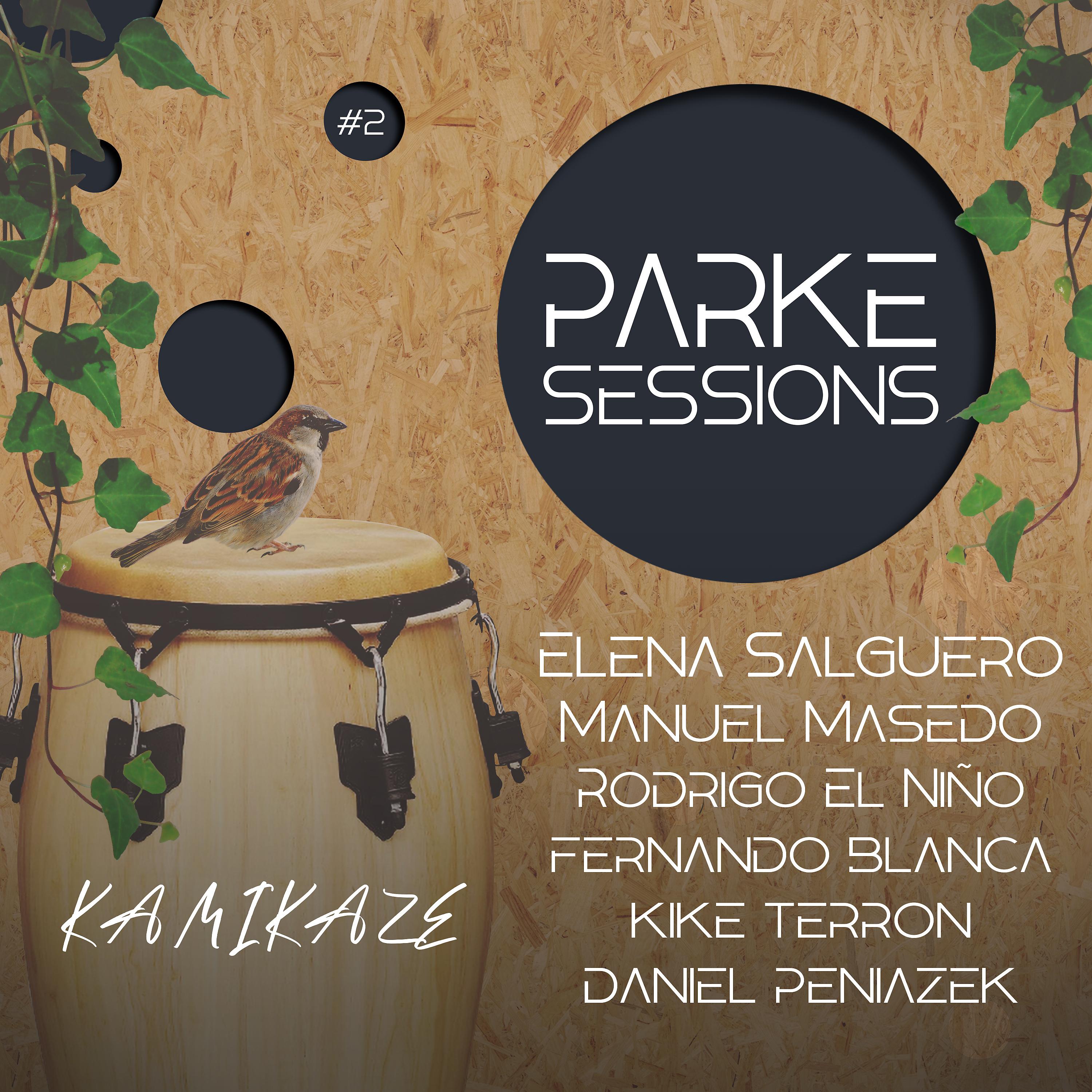 Постер альбома Kamikaze | Parke Sessions #2