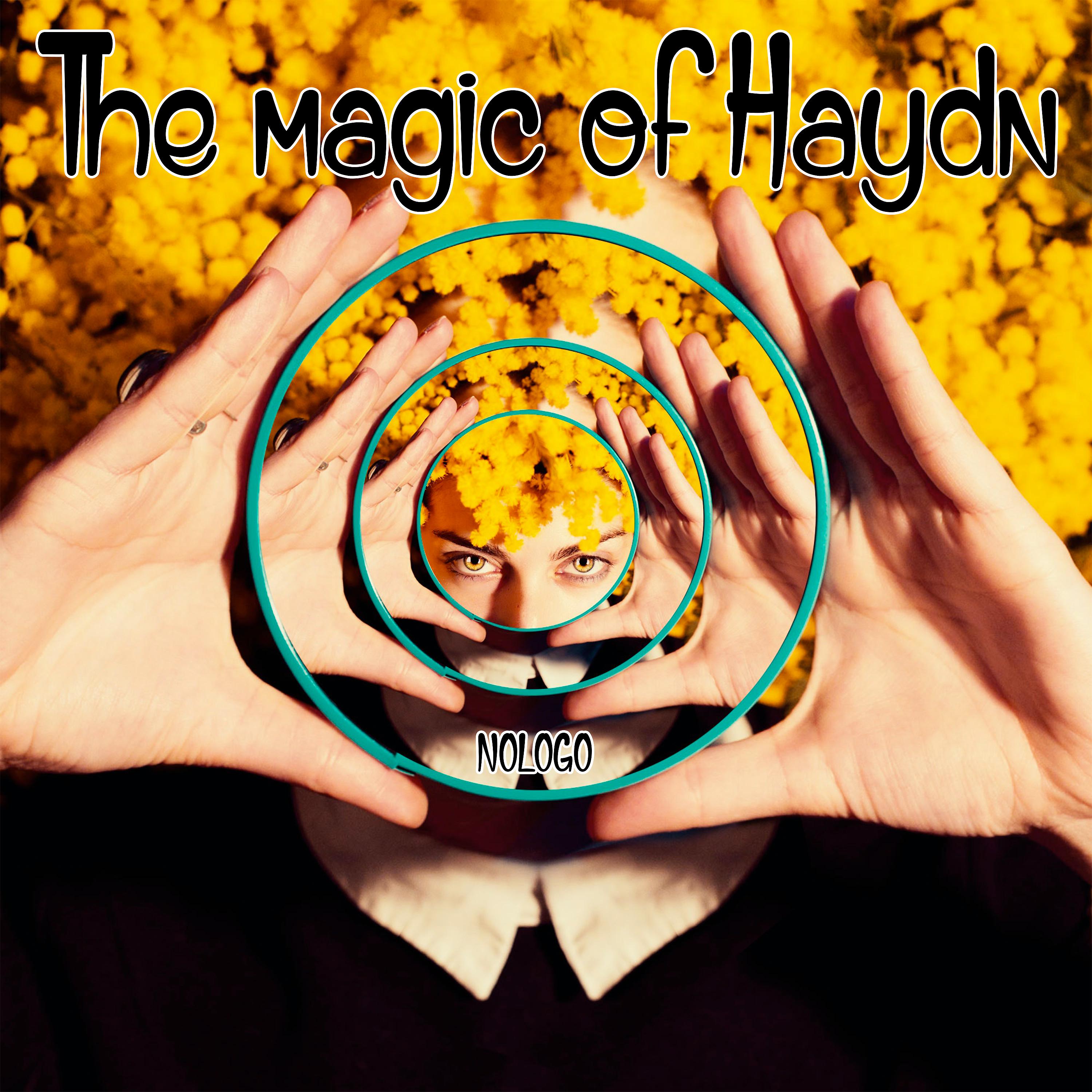 Постер альбома The magic of Haydn