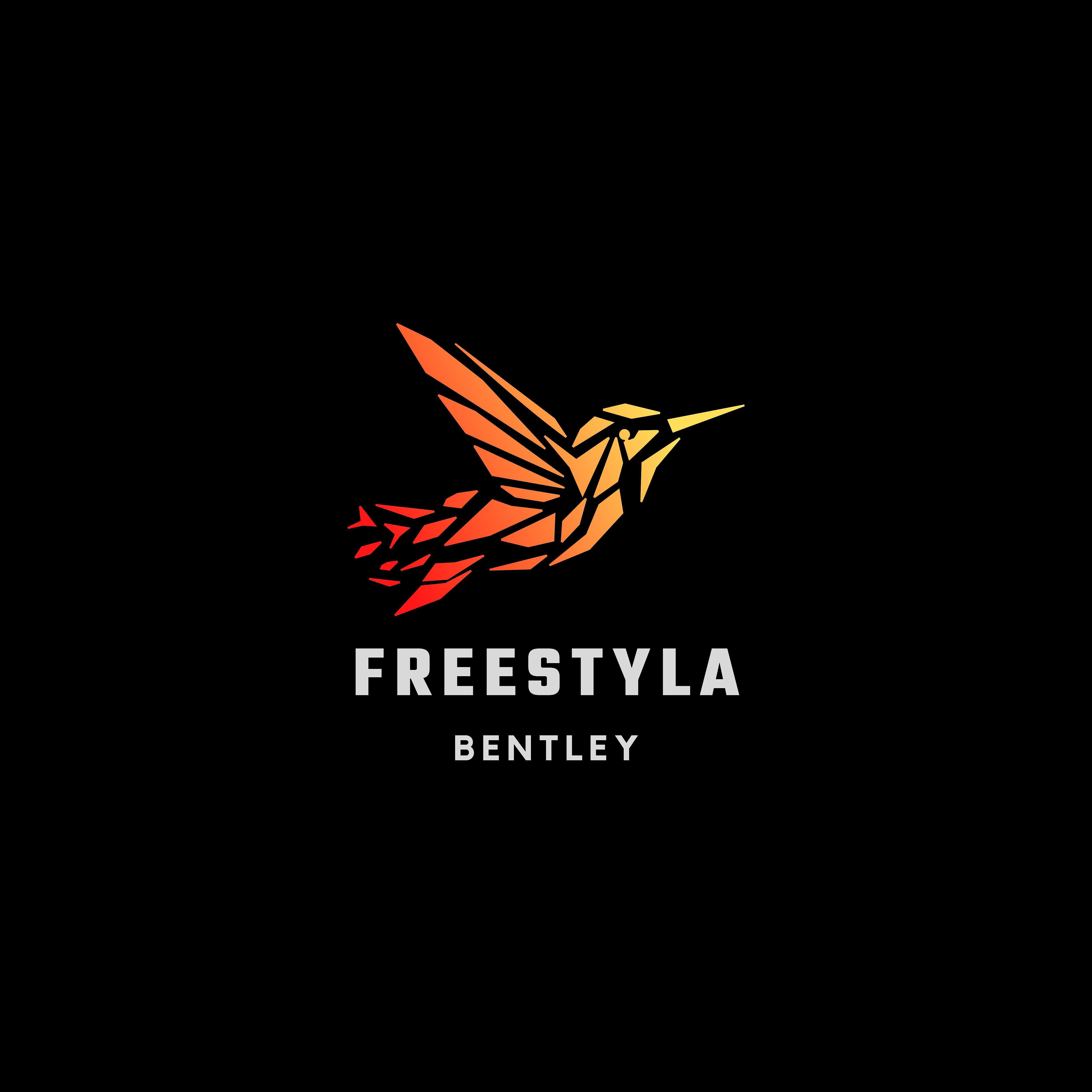 Постер альбома Freestyla